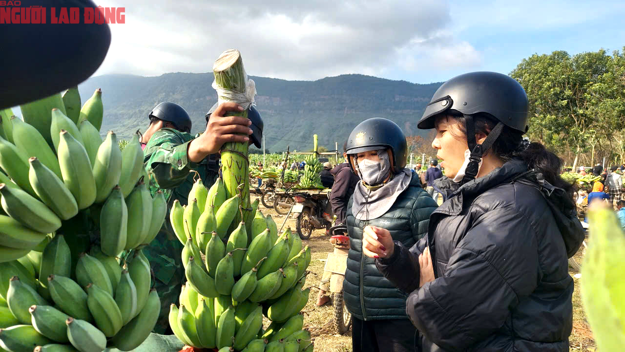 Về điểm tập kết mới, chợ chuối mật mốc ở Quảng Trị hoạt động ra sao trong dịp cận Tết? - Ảnh 10. Về điểm tập kết mới, chợ chuối mật mốc ở Quảng Trị hoạt động ra sao trong dịp cận Tết? - Ảnh 10.