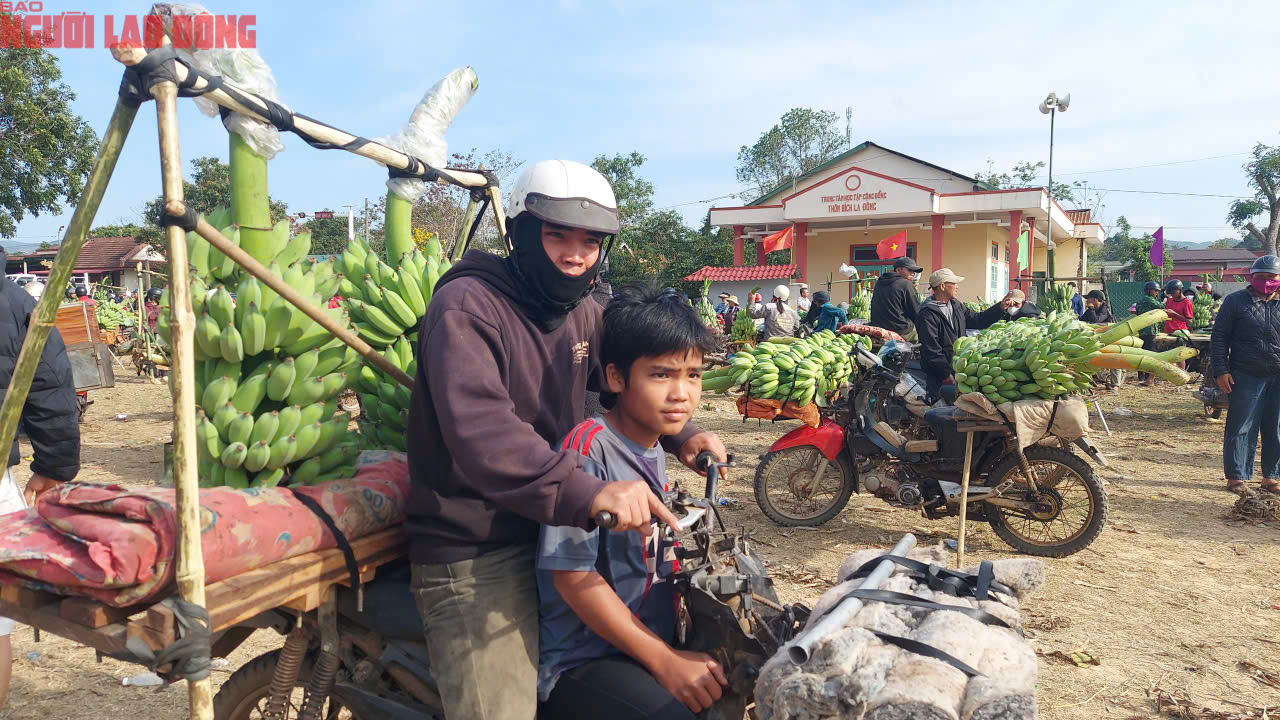 Về điểm tập kết mới, chợ chuối mật mốc ở Quảng Trị hoạt động ra sao trong dịp cận Tết? - Ảnh 11. Về điểm tập kết mới, chợ chuối mật mốc ở Quảng Trị hoạt động ra sao trong dịp cận Tết? - Ảnh 11.