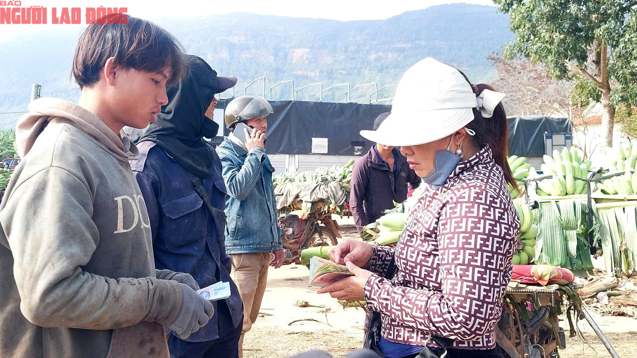 Về điểm tập kết mới, chợ chuối mật mốc ở Quảng Trị hoạt động ra sao trong dịp cận Tết? - Ảnh 13. Về điểm tập kết mới, chợ chuối mật mốc ở Quảng Trị hoạt động ra sao trong dịp cận Tết? - Ảnh 13.