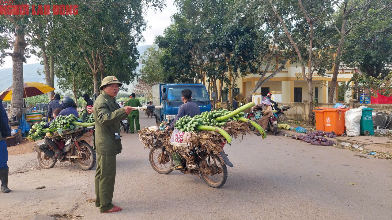 Về điểm tập kết mới, chợ chuối mật mốc ở Quảng Trị hoạt động ra sao trong dịp cận Tết? - Ảnh 14. Về điểm tập kết mới, chợ chuối mật mốc ở Quảng Trị hoạt động ra sao trong dịp cận Tết? - Ảnh 14.