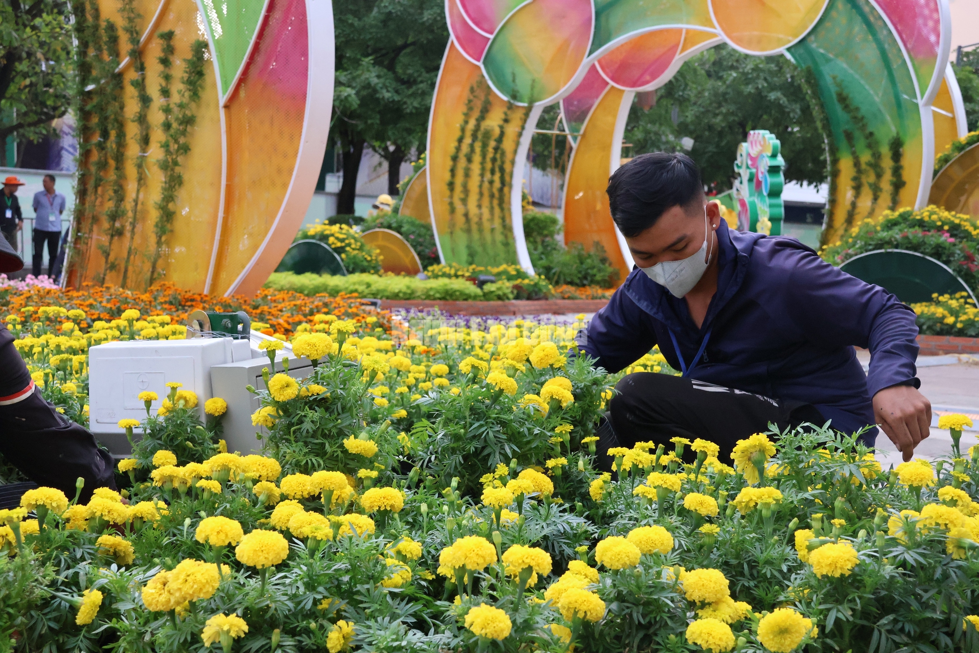 H&eacute; lộ linh vật Ngựa ở Đường hoa Nguyễn Huệ trước giờ G - Ảnh 3.