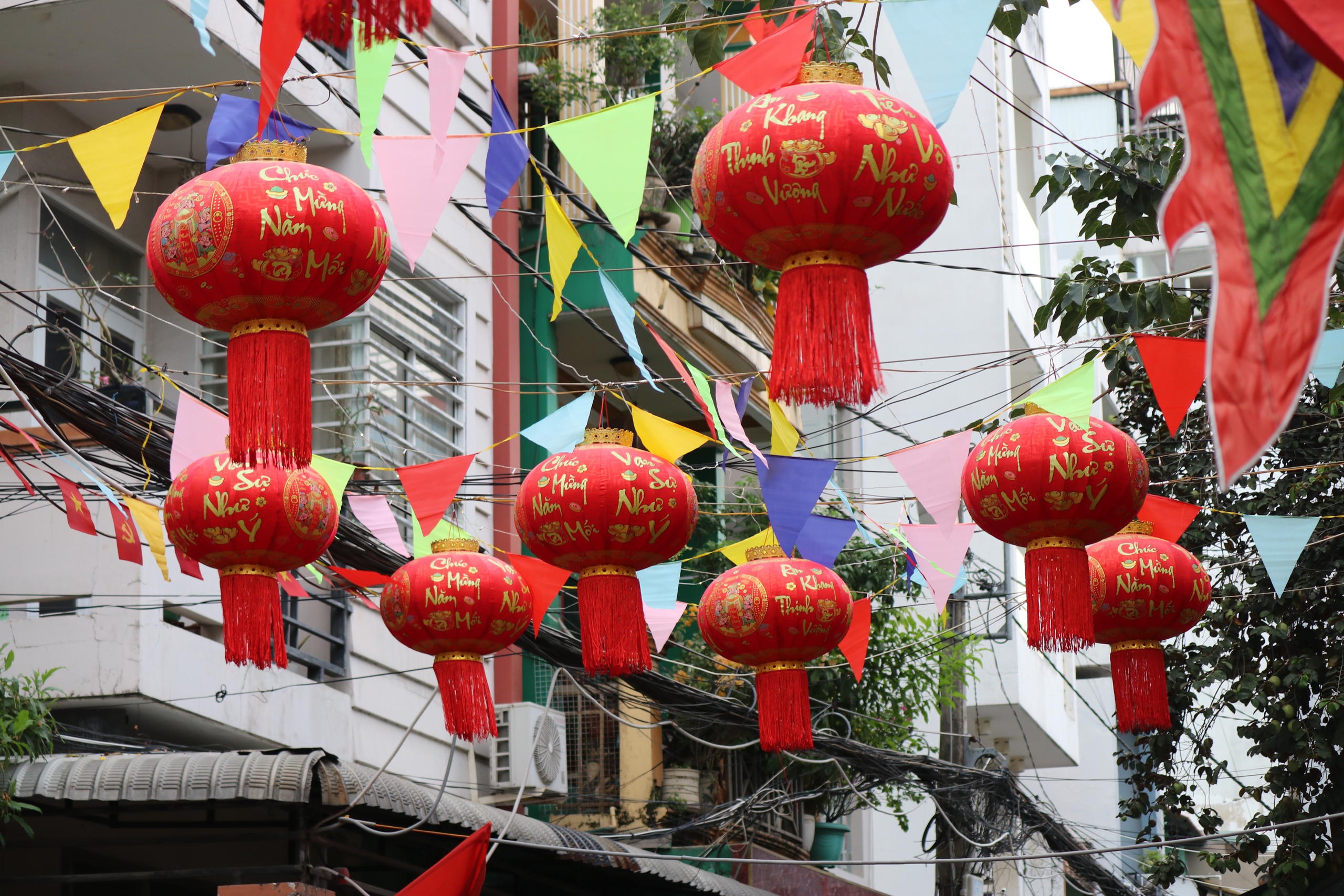 TPHCM rực rỡ sắc m&agrave;u những ng&agrave;y Tết đến Xu&acirc;n về - Ảnh 5.