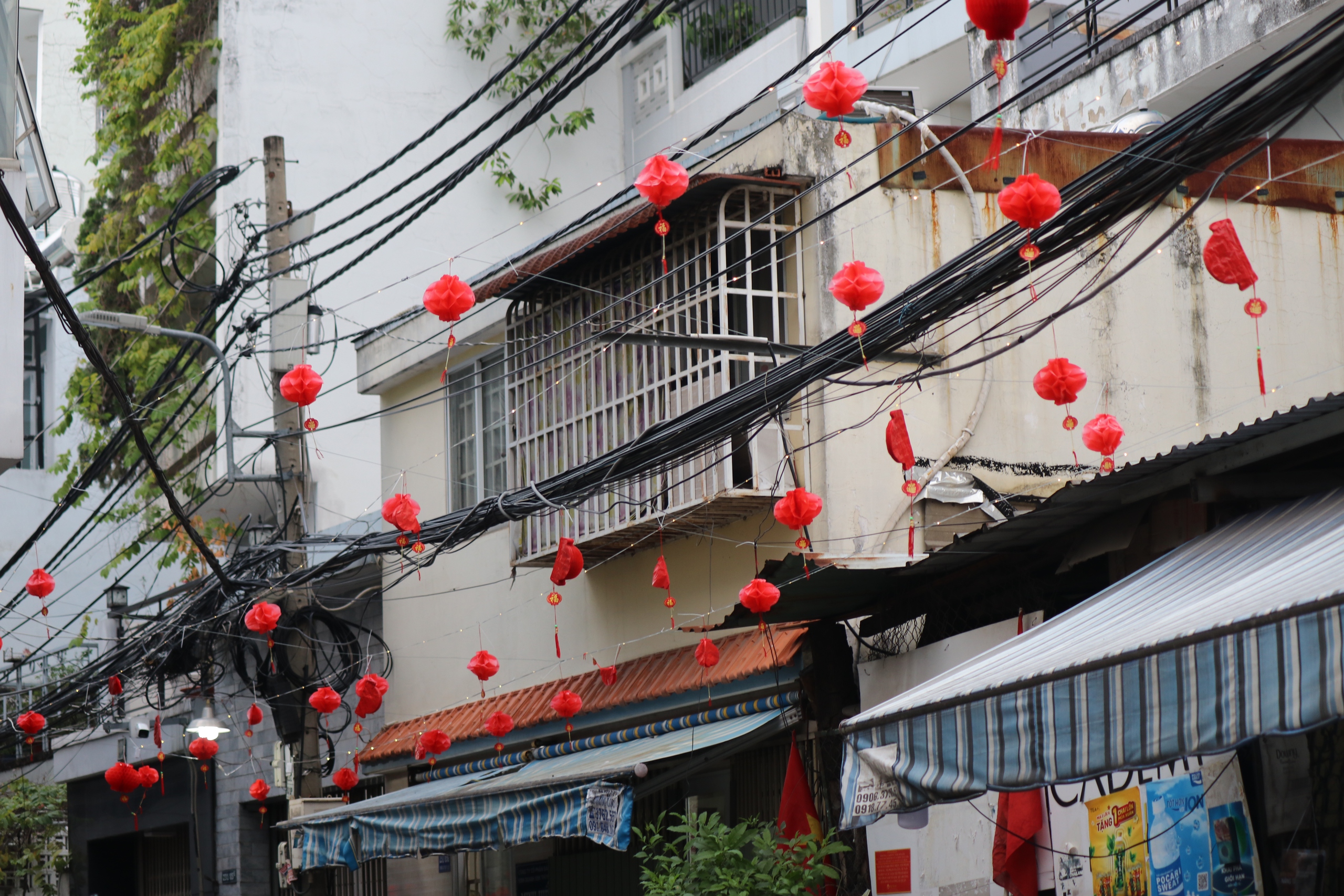 TPHCM rực rỡ sắc m&agrave;u những ng&agrave;y Tết đến Xu&acirc;n về - Ảnh 6.