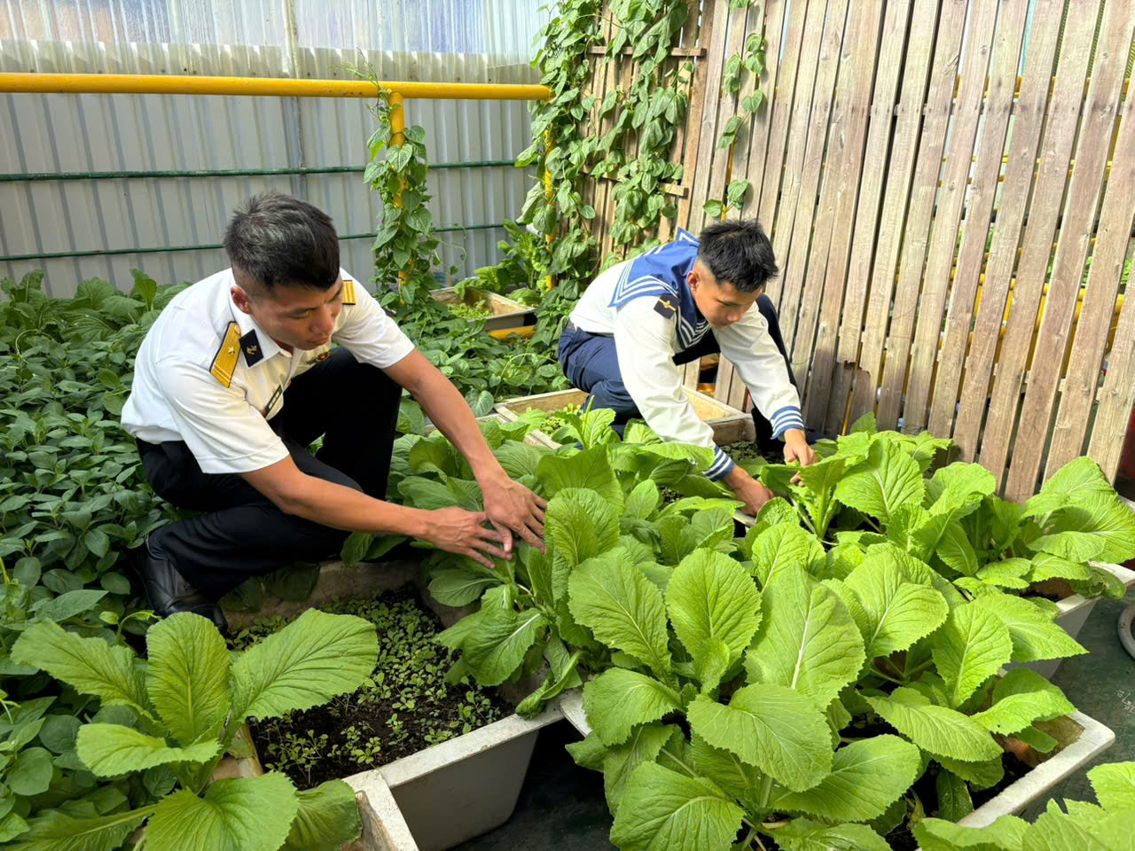 Mang Xuân ra nhà giàn DK1 - Ảnh 4.