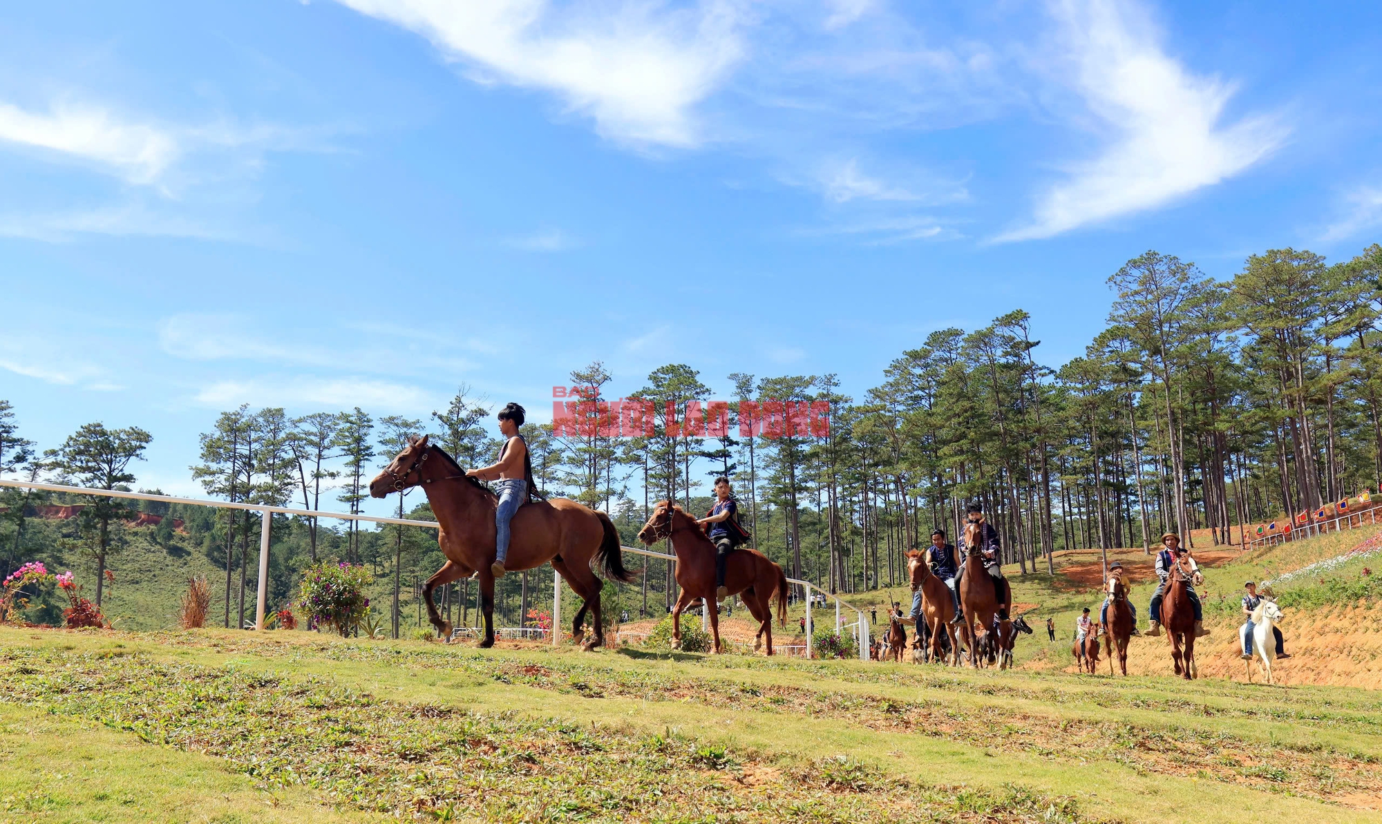Những cuộc đua ngựa độc đáo dưới chân núi Lang Biang - Ảnh 3.