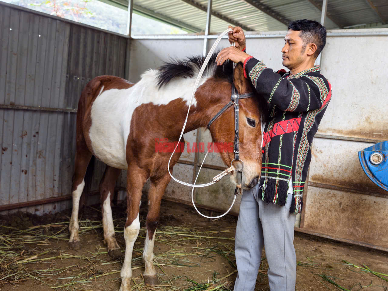 Những cuộc đua ngựa độc đáo dưới chân núi Lang Biang - Ảnh 4.