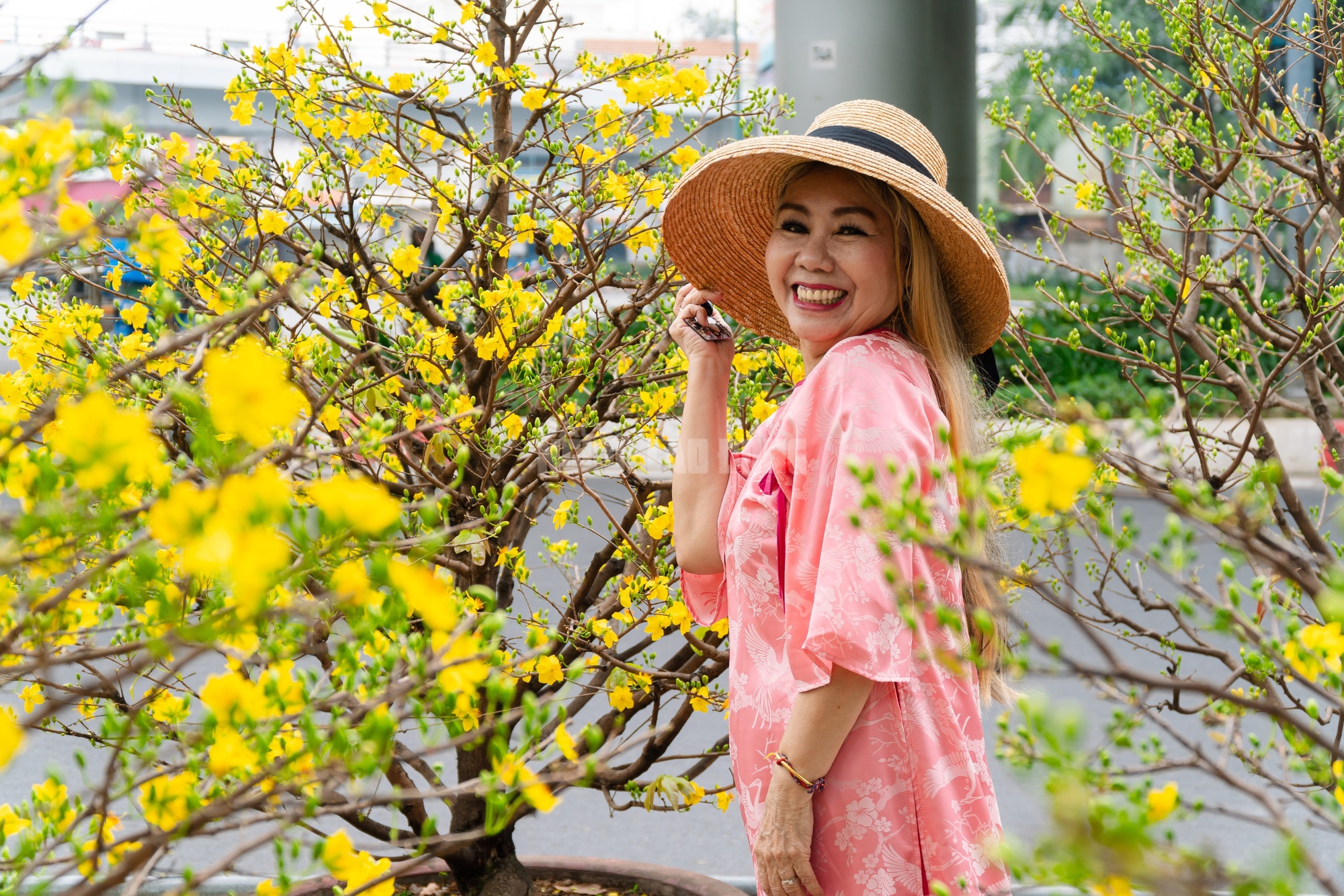 VIDEO: Chiêm ngưỡng cặp mai giảo "khủng" gần 40 năm tuổi, giá 700 triệu đồng ở TPHCM - Ảnh 18.