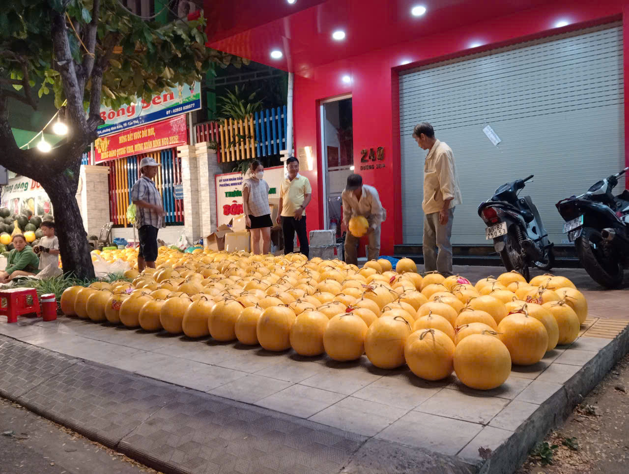 Dưa hấu Cần Thơ giảm giá kỷ lục 8 . 000 Đồng / kg trước Tết Nguyên đán 2026 - Ảnh 4. Dưa hấu Cần Thơ giảm giá kỷ lục 8 . 000 Đồng / kg trước Tết Nguyên đán 2026 - Ảnh 4.