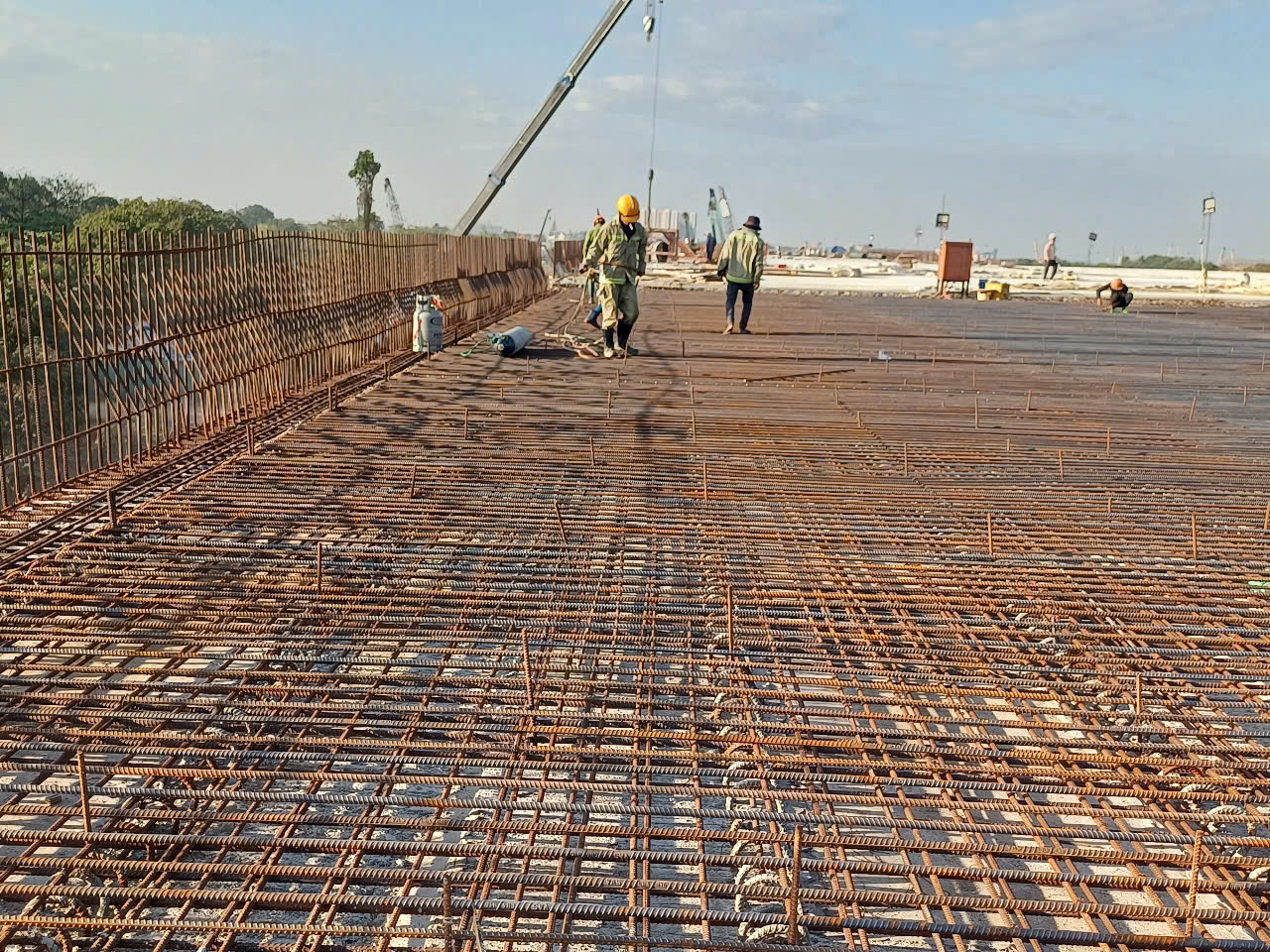 Xu&acirc;n về tr&ecirc;n c&ocirc;ng trường đường V&agrave;nh đai 3 TPHCM - Ảnh 4.