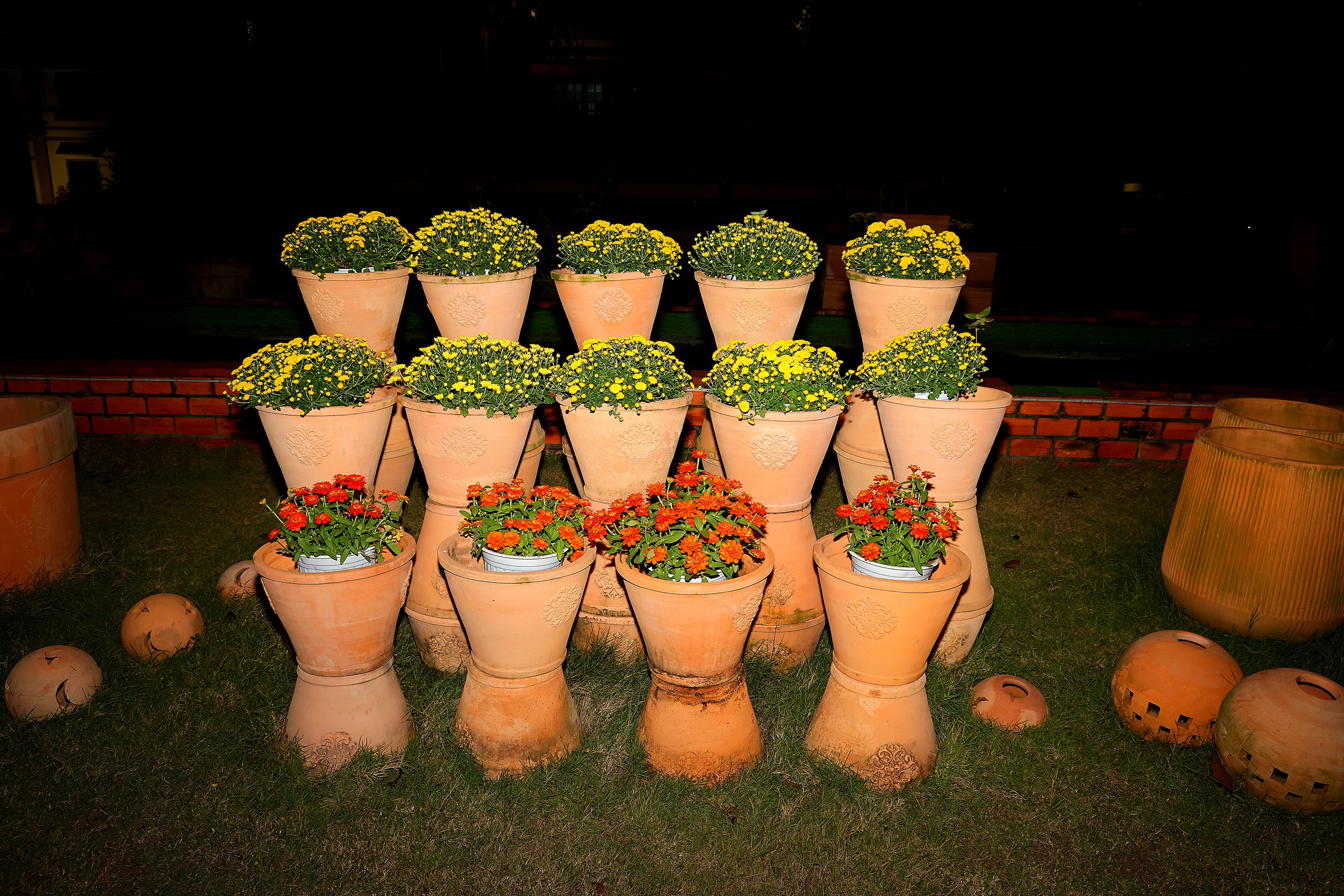 Ngắm linh vật ngựa oai phong tại đường hoa Xuân Vĩnh Long 2026 - Ảnh 7. Ngắm linh vật ngựa oai phong tại đường hoa Xuân Vĩnh Long 2026 - Ảnh 7.