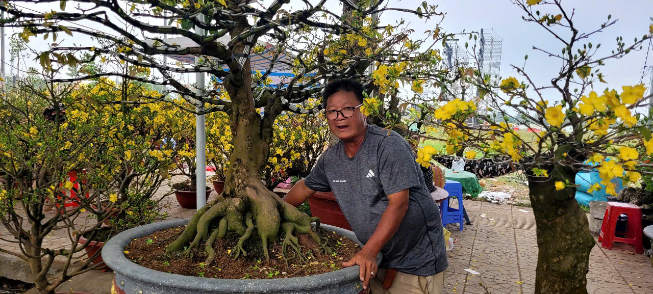 T&igrave;nh h&igrave;nh kinh tế hoa kiểng tại Đồng Th&aacute;p v&agrave; Cần Thơ năm 2026 - Ảnh 1.