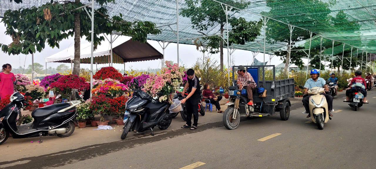 T&igrave;nh h&igrave;nh kinh tế hoa kiểng tại Đồng Th&aacute;p v&agrave; Cần Thơ năm 2026 - Ảnh 2.