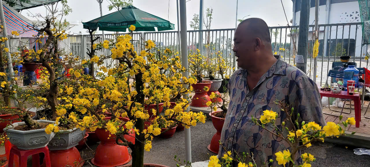 T&igrave;nh h&igrave;nh kinh tế hoa kiểng tại Đồng Th&aacute;p v&agrave; Cần Thơ năm 2026 - Ảnh 6.