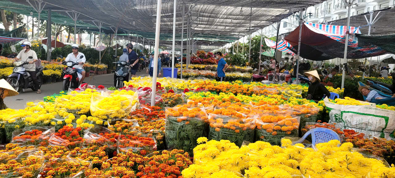 T&igrave;nh h&igrave;nh kinh tế hoa kiểng tại Đồng Th&aacute;p v&agrave; Cần Thơ năm 2026 - Ảnh 9.