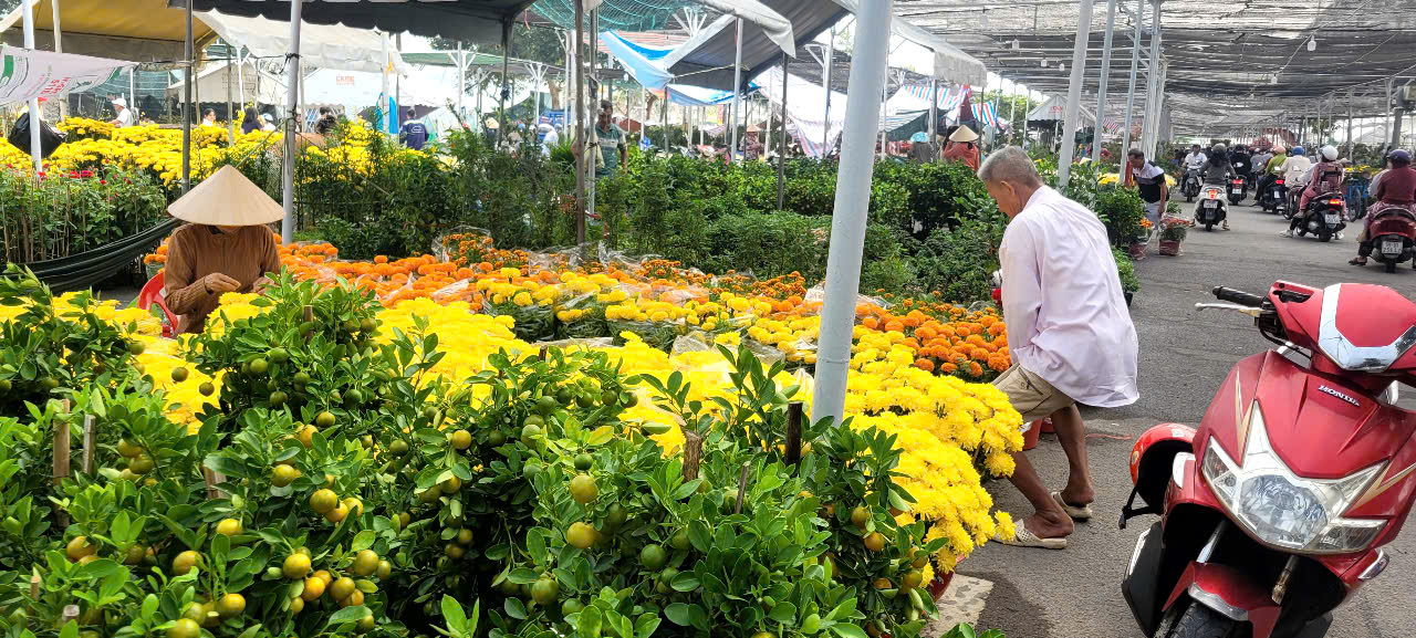 T&igrave;nh h&igrave;nh kinh tế hoa kiểng tại Đồng Th&aacute;p v&agrave; Cần Thơ năm 2026 - Ảnh 11.