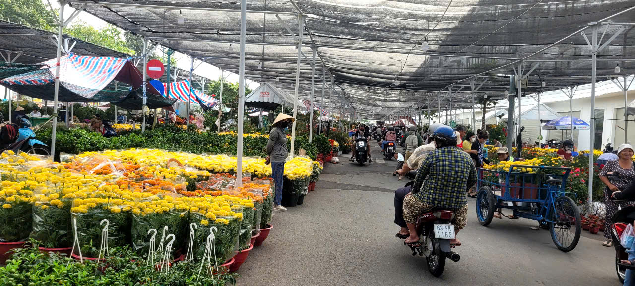 T&igrave;nh h&igrave;nh kinh tế hoa kiểng tại Đồng Th&aacute;p v&agrave; Cần Thơ năm 2026 - Ảnh 12.