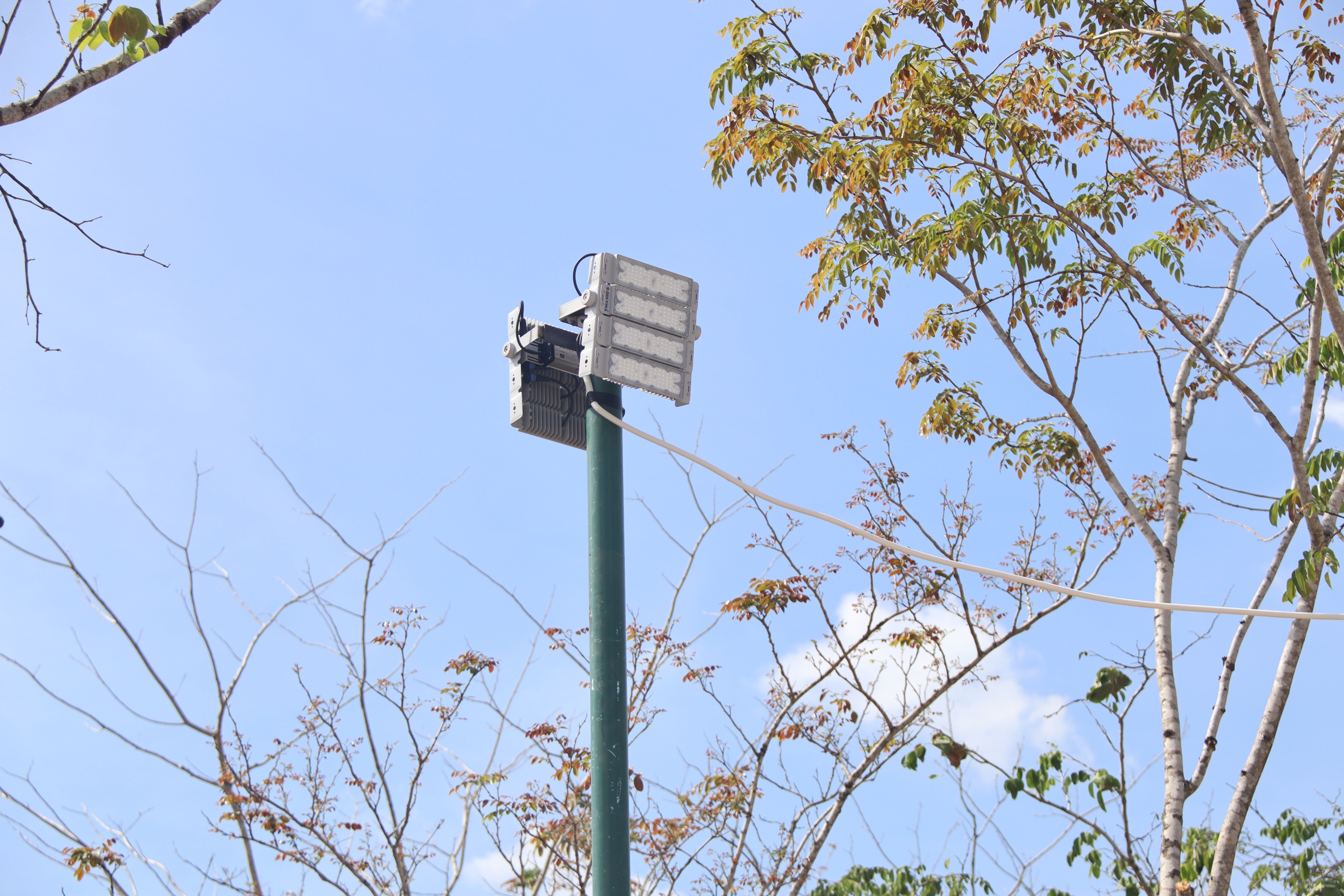 Xuân Tình Nguyện mang hơi ấm mọi miền - Ảnh 3.