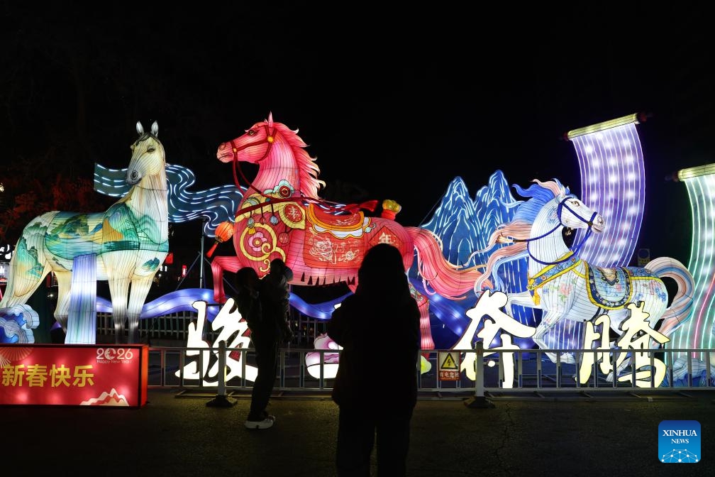 Thế giới tưng bừng đón Tết Bính Ngọ  - Ảnh 14.