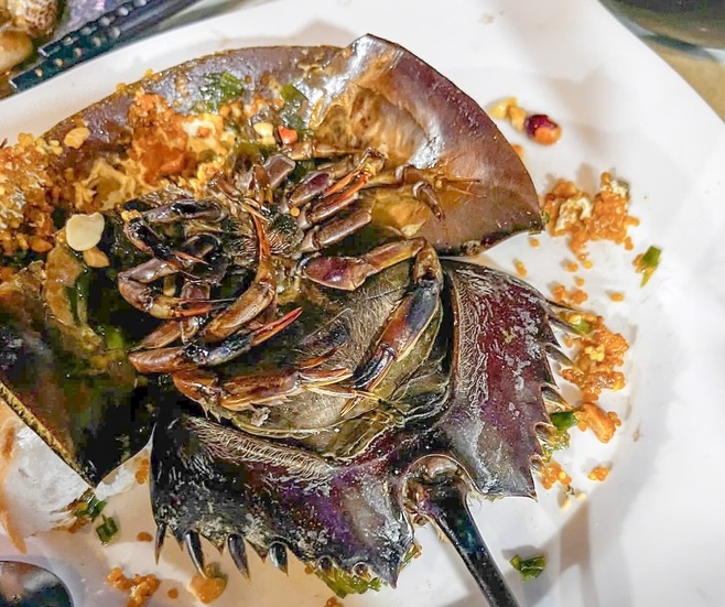 Ăn sò, ốc, sam, nhiều người nghi ngộ độc phải cấp cứu - Ảnh 1.