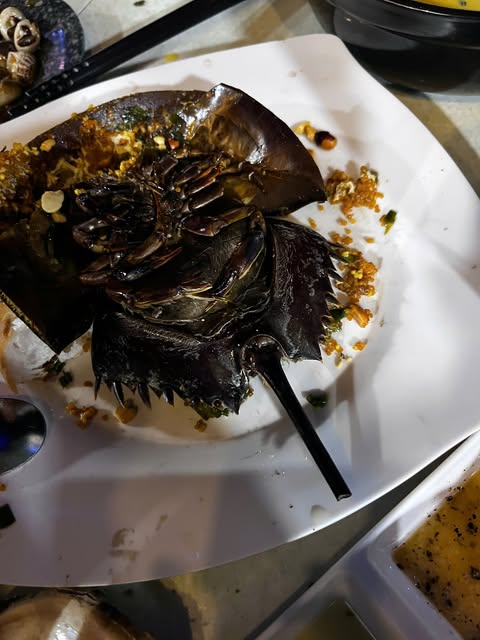 3 người ở C&agrave; Mau nhập viện sau khi ăn tối tại qu&aacute;n ốc - Ảnh 1.