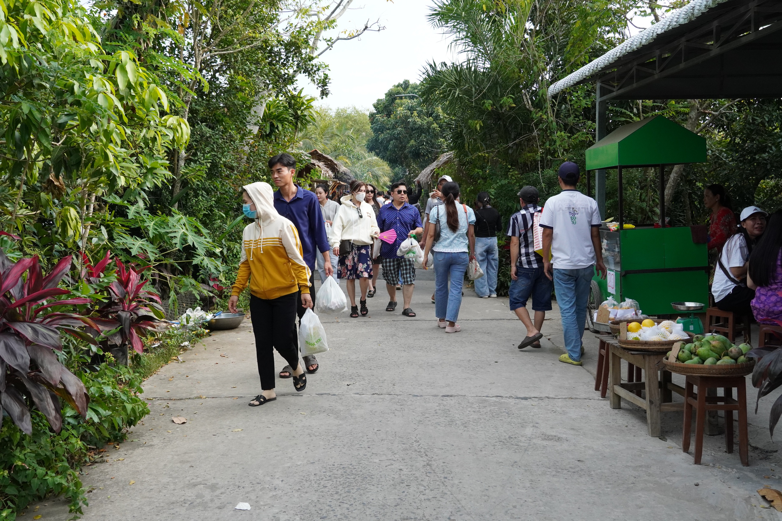 D&acirc;n d&atilde; c&aacute;c m&ocirc; h&igrave;nh chợ qu&ecirc; tại Đồng Th&aacute;p - Ảnh 1.