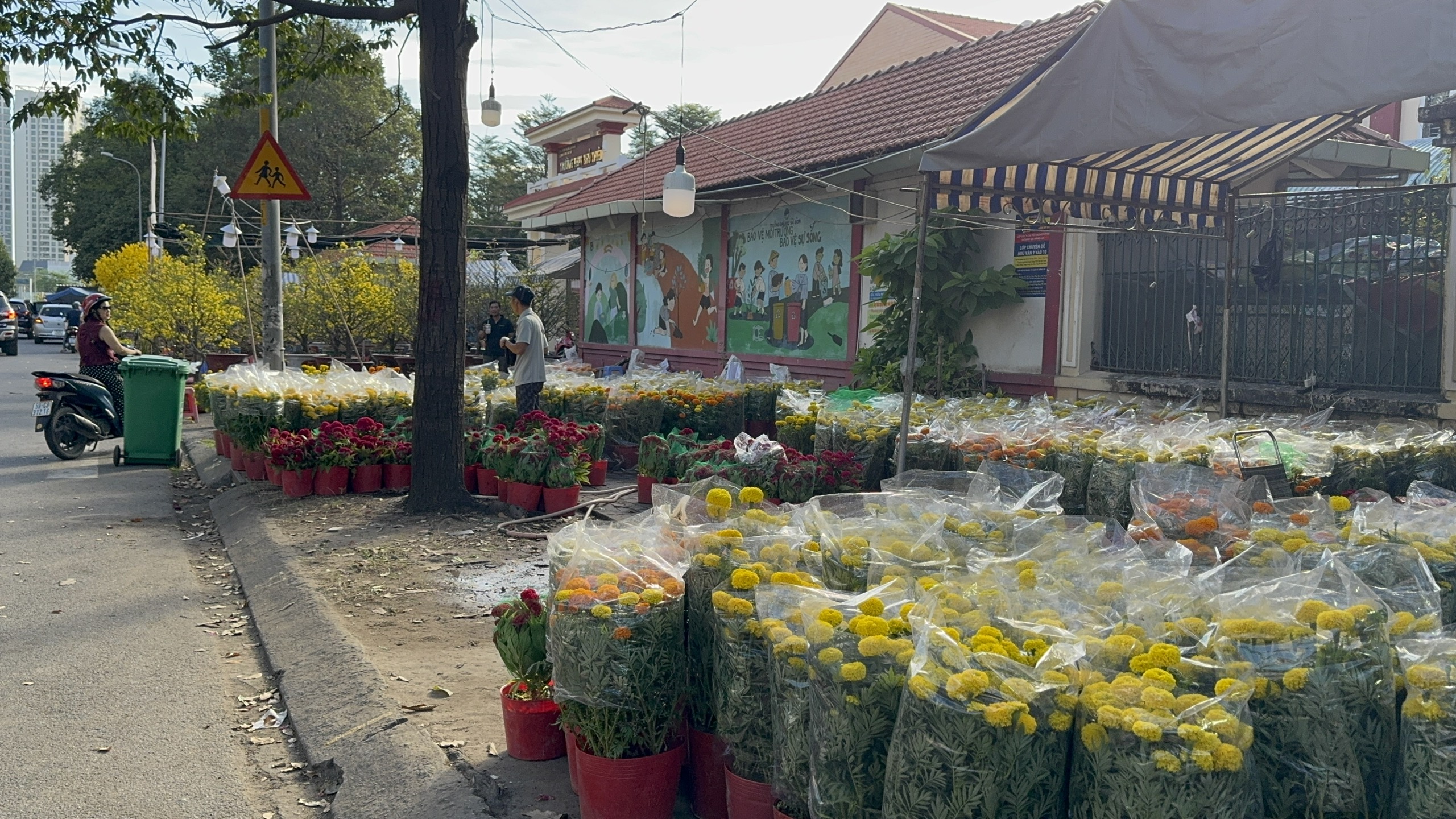 Chợ hoa Tết 2026: Nhiều lô hoa kiểng đã bán hết sạch tại TP HCM - Ảnh 10. Chợ hoa Tết 2026: Nhiều lô hoa kiểng đã bán hết sạch tại TP HCM - Ảnh 10.