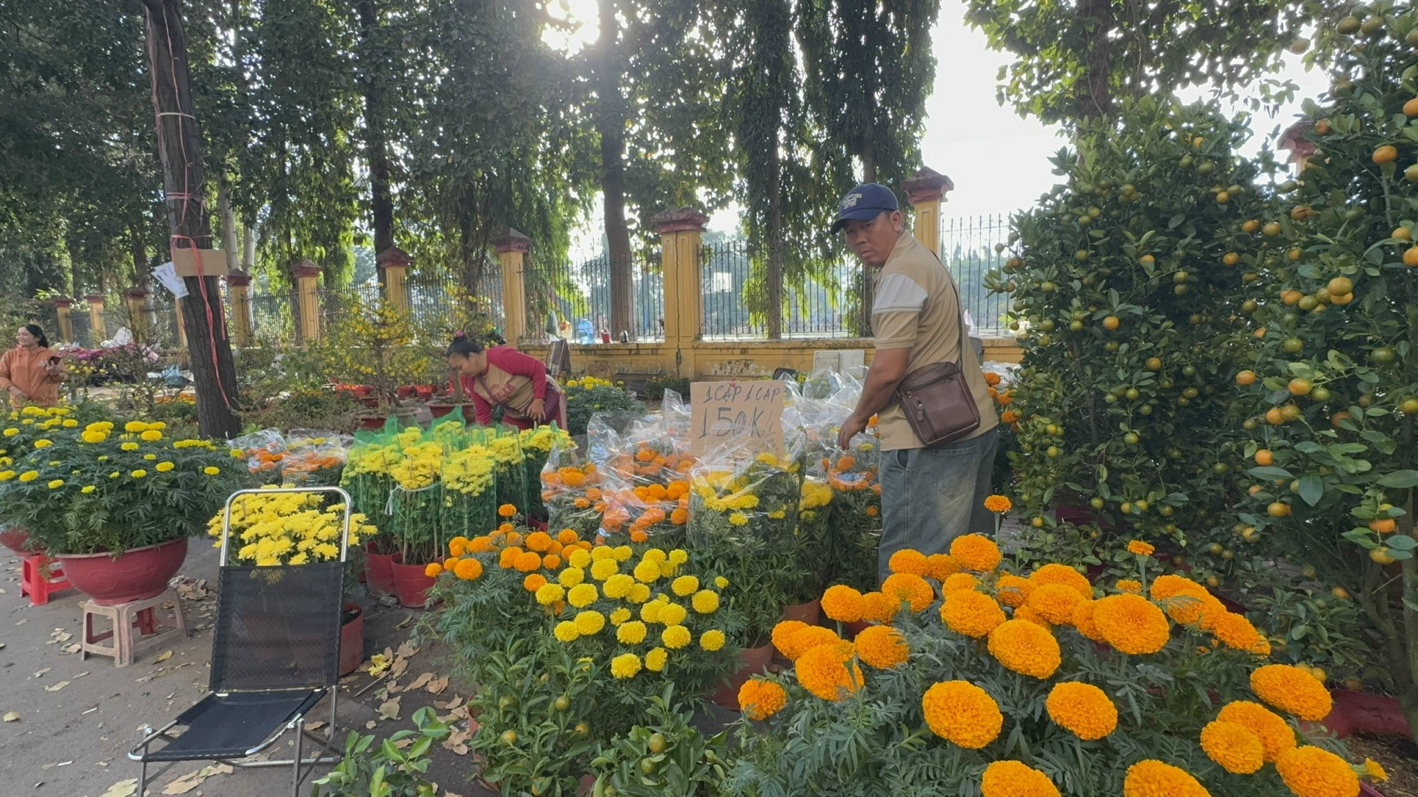 Chợ hoa Tết 2026: Nhiều lô hoa kiểng đã bán hết sạch tại TP HCM - Ảnh 11. Chợ hoa Tết 2026: Nhiều lô hoa kiểng đã bán hết sạch tại TP HCM - Ảnh 11.