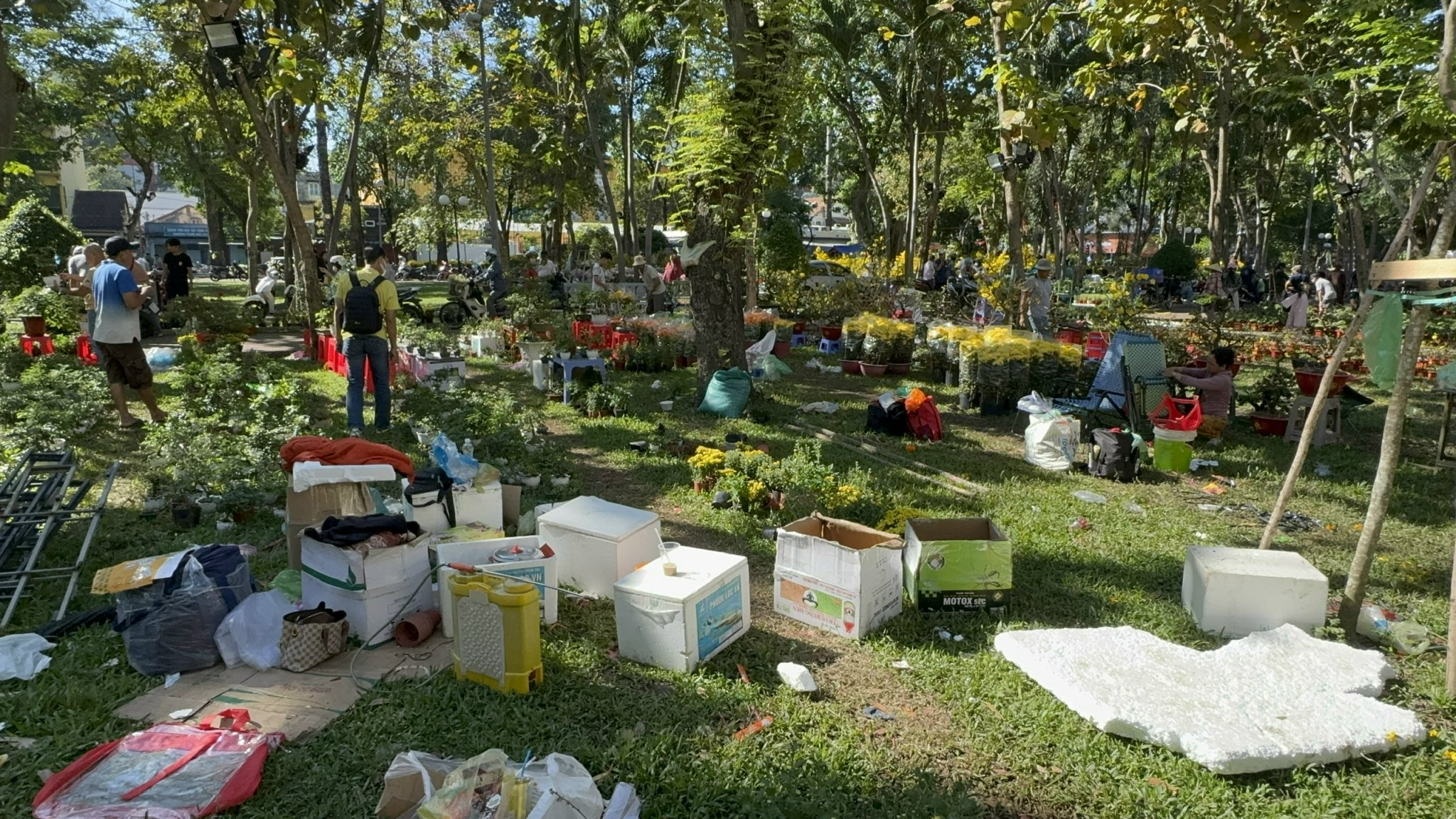 Chợ hoa Tết 2026: Nhiều lô hoa kiểng đã bán hết sạch tại TP HCM - Ảnh 4. Chợ hoa Tết 2026: Nhiều lô hoa kiểng đã bán hết sạch tại TP HCM - Ảnh 4.