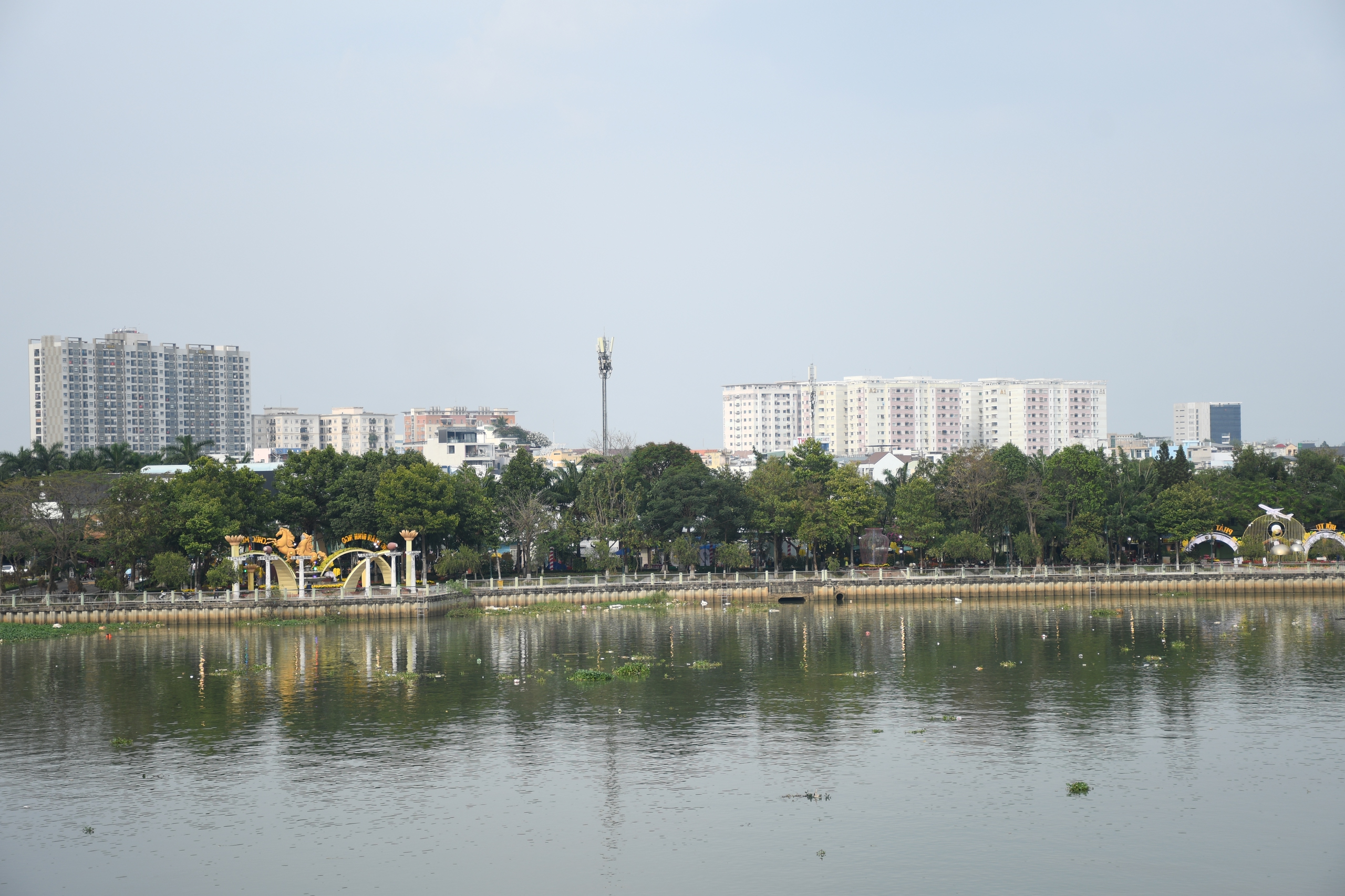 Cận cảnh đường hoa ven s&ocirc;ng Đồng Nai 'vạn người m&ecirc;' - Ảnh 3.