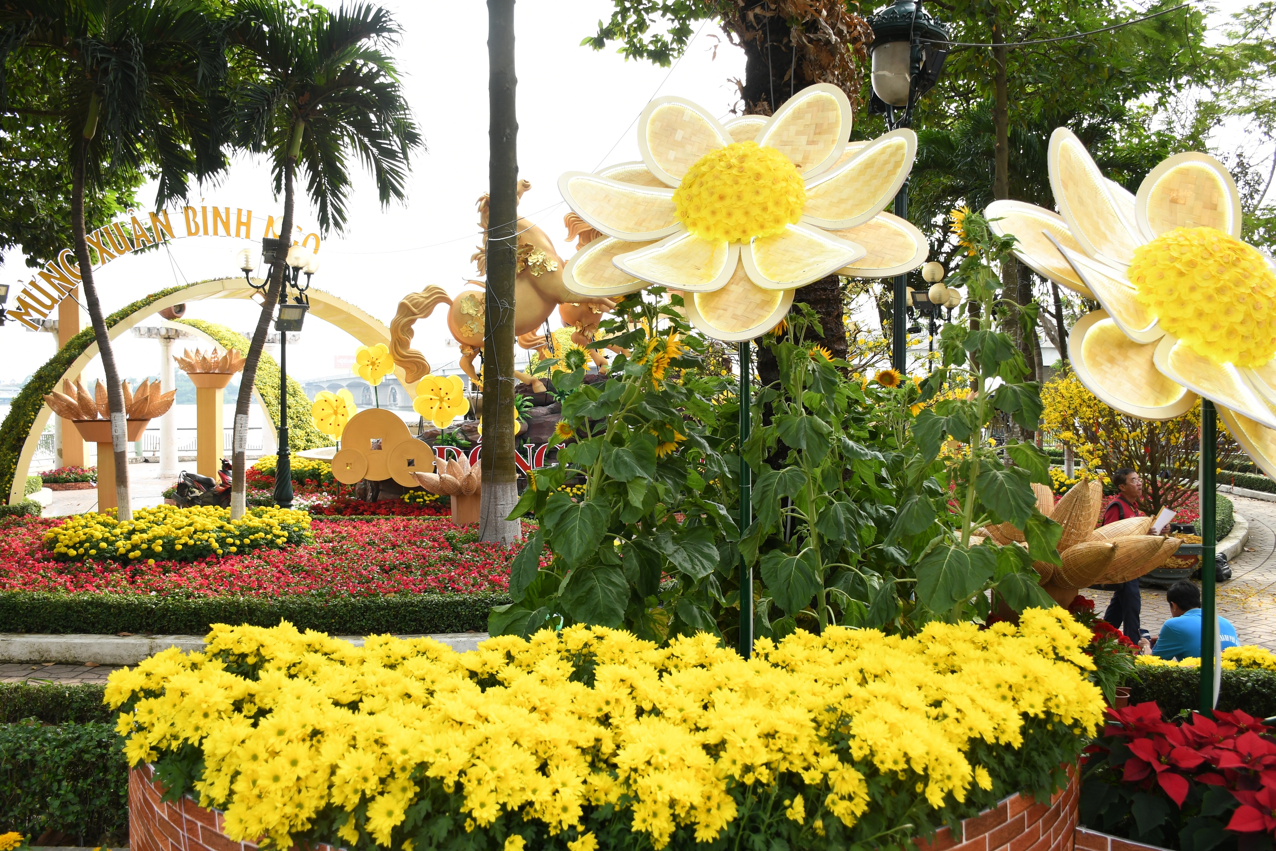 Cận cảnh đường hoa ven s&ocirc;ng Đồng Nai 'vạn người m&ecirc;' - Ảnh 16.