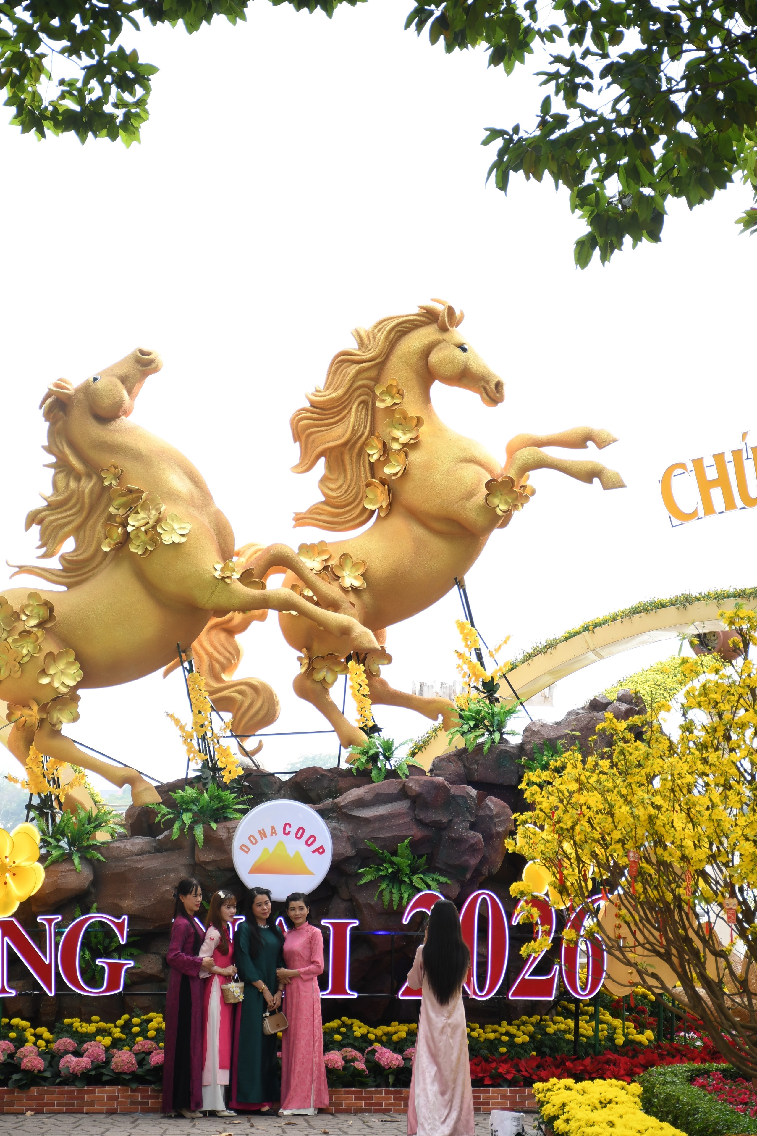 Cận cảnh đường hoa ven s&ocirc;ng Đồng Nai 'vạn người m&ecirc;' - Ảnh 1.