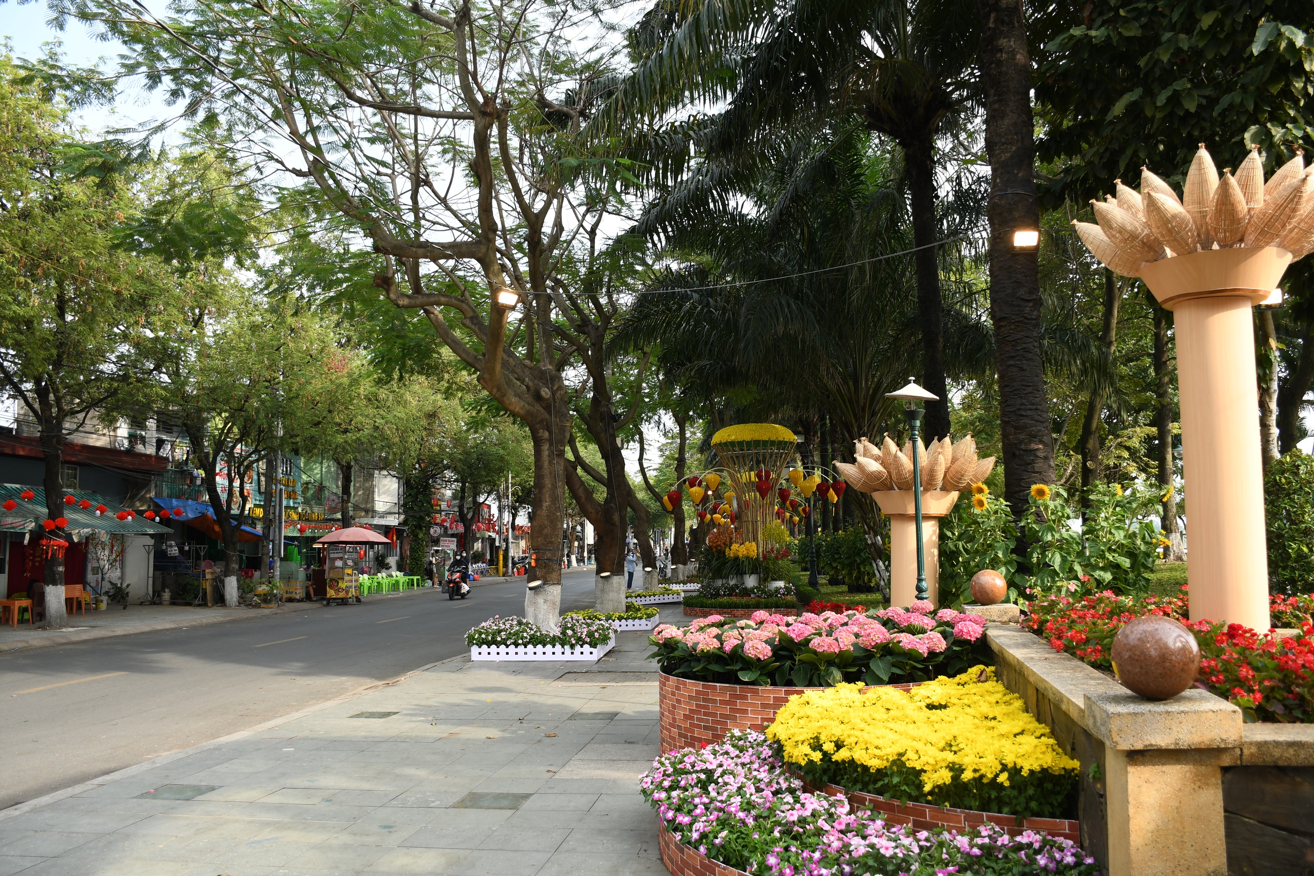 Cận cảnh đường hoa ven s&ocirc;ng Đồng Nai 'vạn người m&ecirc;' - Ảnh 5.