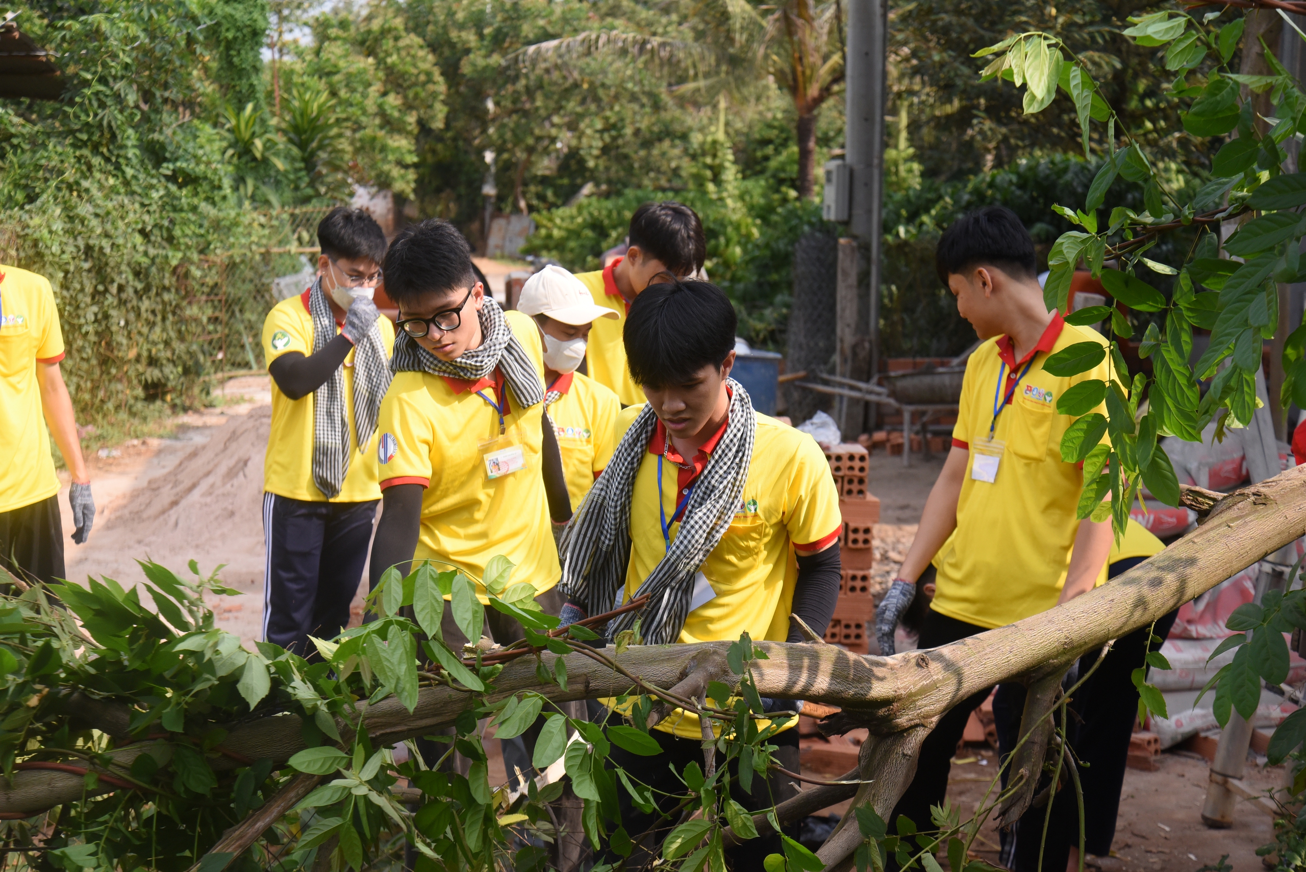 Xuân Tình Nguyện mang hơi ấm mọi miền - Ảnh 9.