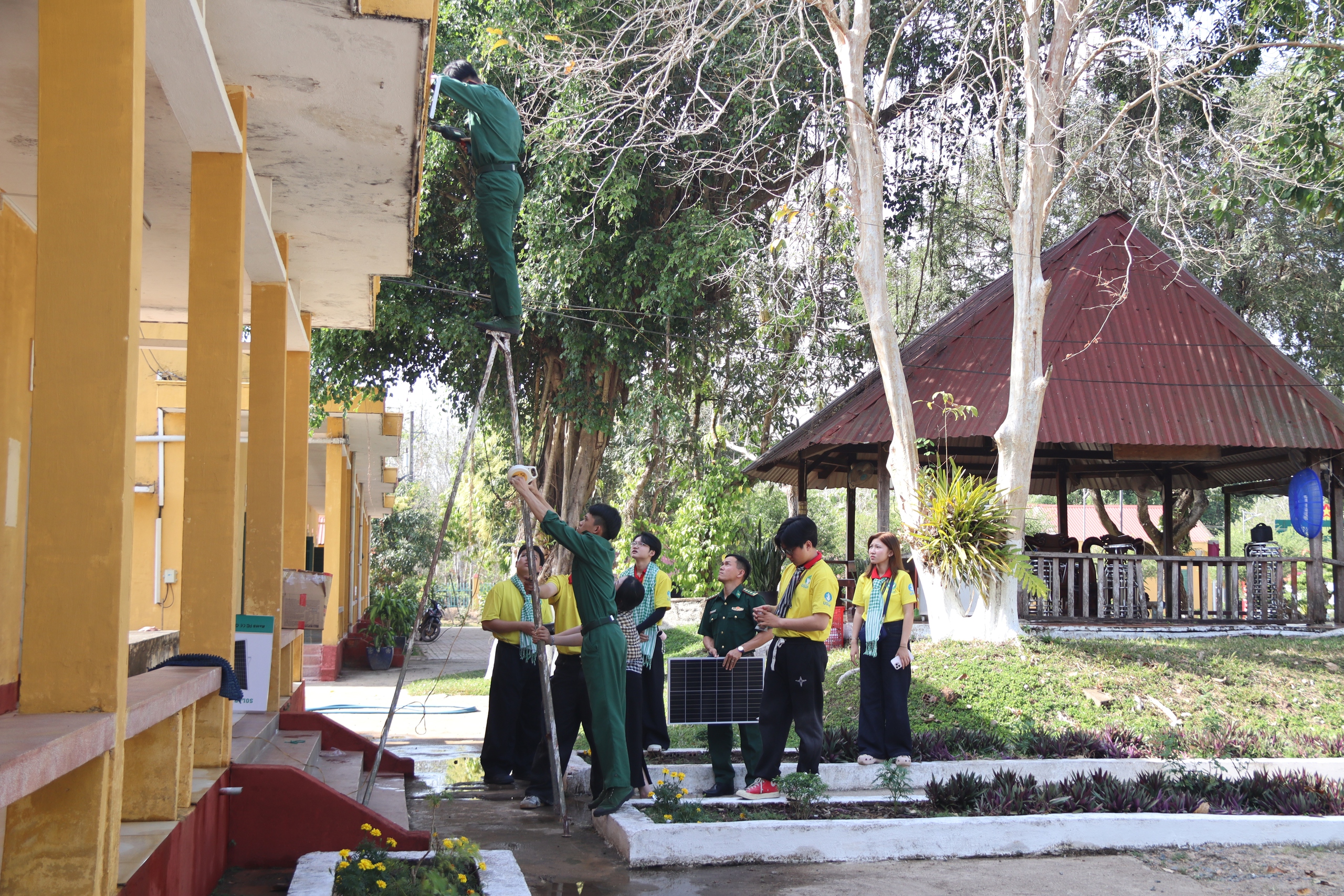 Xuân Tình Nguyện mang hơi ấm mọi miền - Ảnh 1.