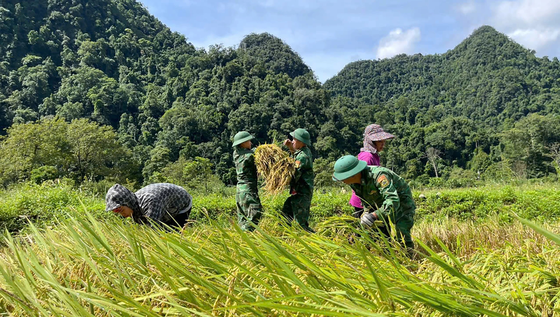 Bí ẩn người Rục: Hành trình từ hang đá đến Báo vàng Locarno - Ảnh 6.
