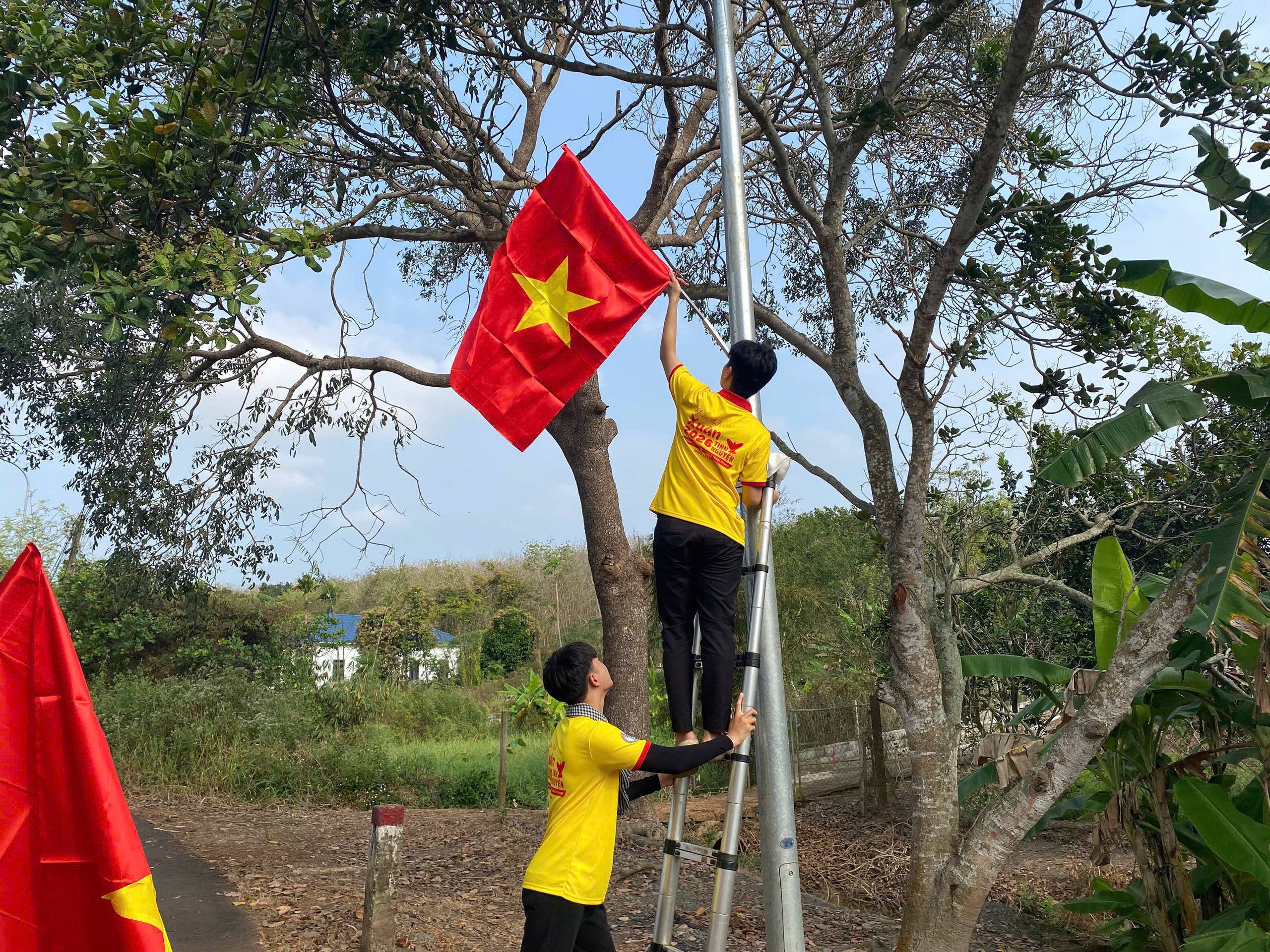 Xuân Tình Nguyện mang hơi ấm mọi miền - Ảnh 11.