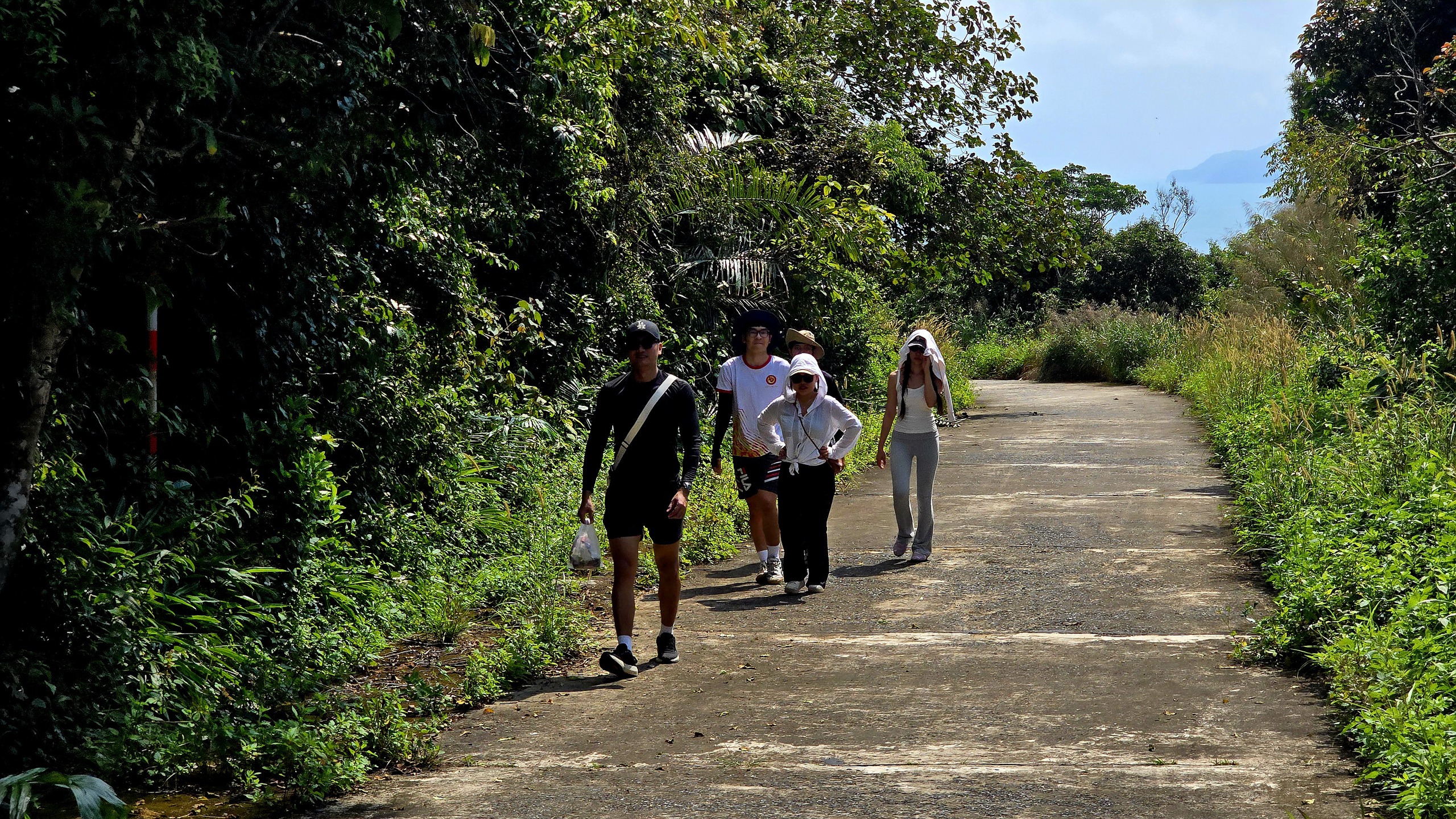 Dưới t&aacute;n đa ngh&igrave;n năm ở Sơn Tr&agrave;, du kh&aacute;ch nghe rừng "kể chuyện" - Ảnh 7.