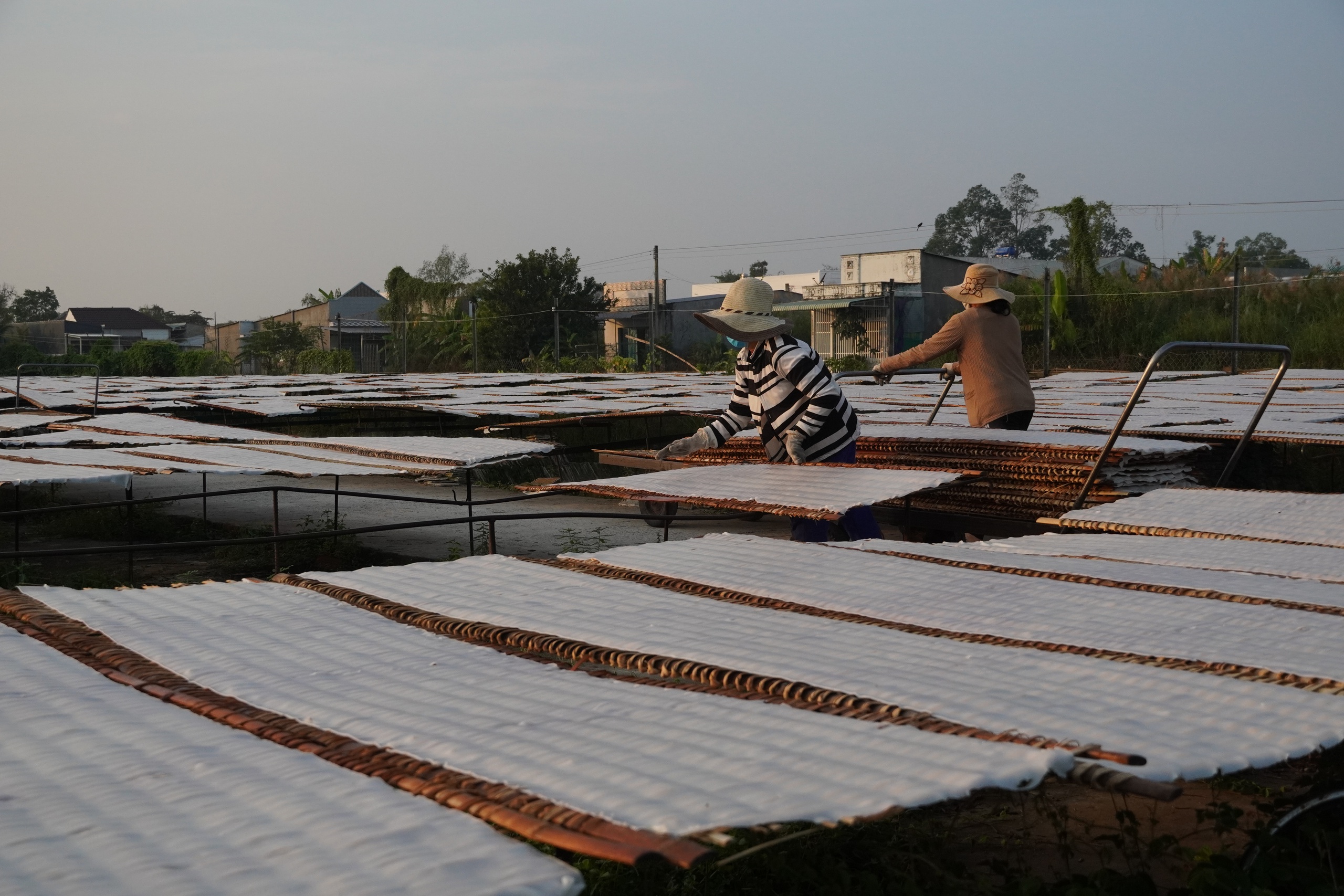 Tết về, thưởng thức đặc sản hủ tiếu Sa Đéc trứ danh - Ảnh 1.