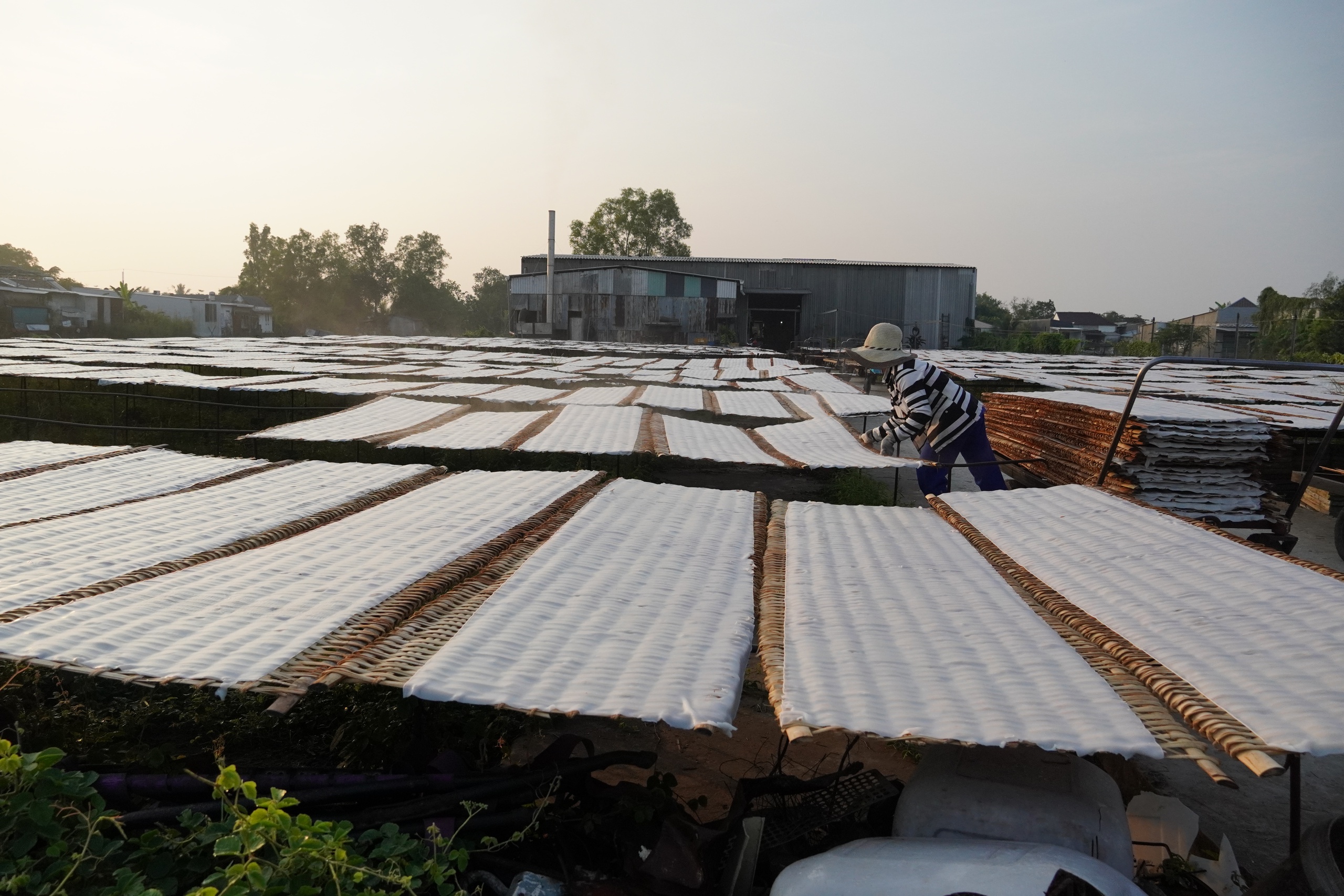 Tết về, thưởng thức đặc sản hủ tiếu Sa Đéc trứ danh - Ảnh 4.