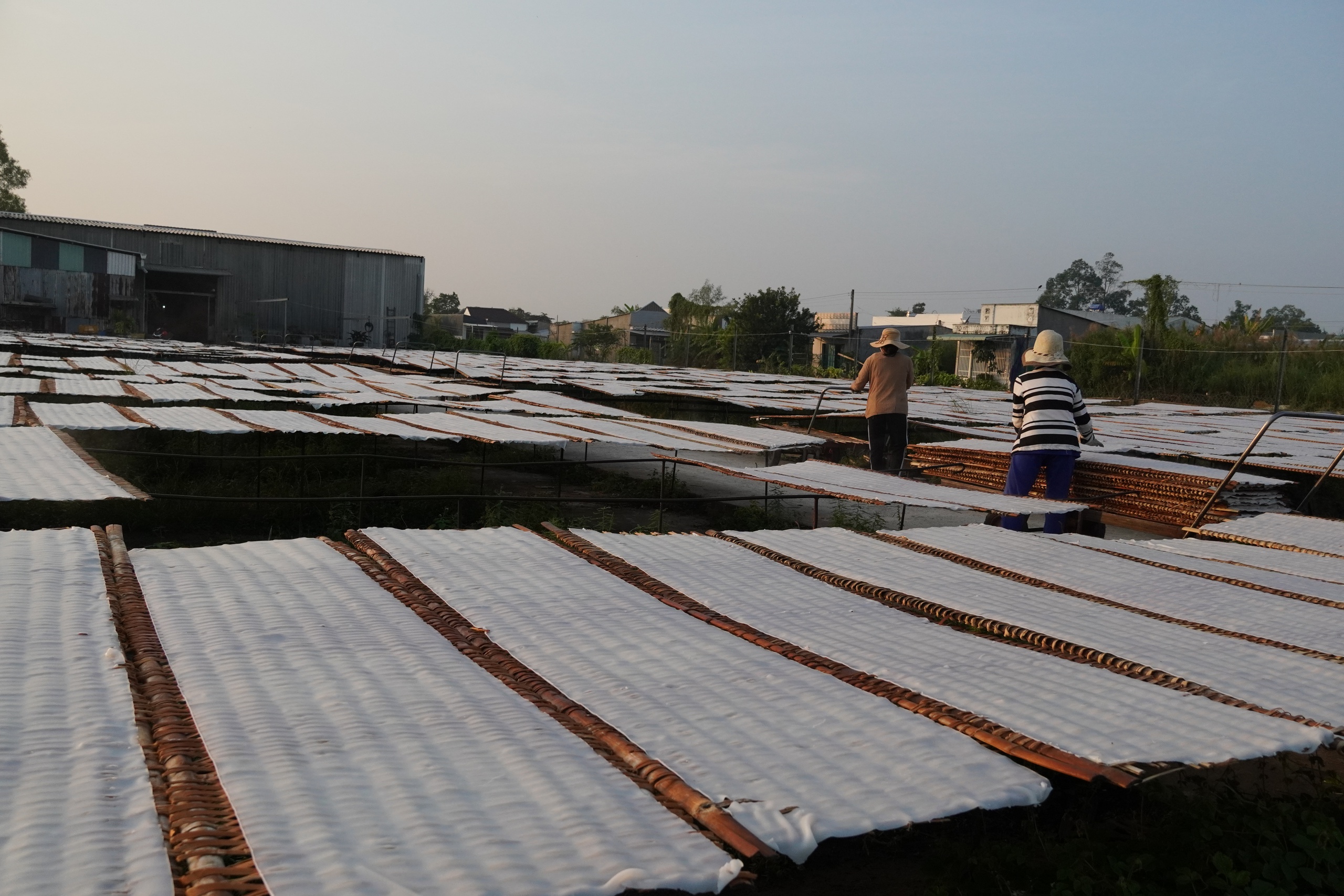 Tết về, thưởng thức đặc sản hủ tiếu Sa Đéc trứ danh - Ảnh 8.