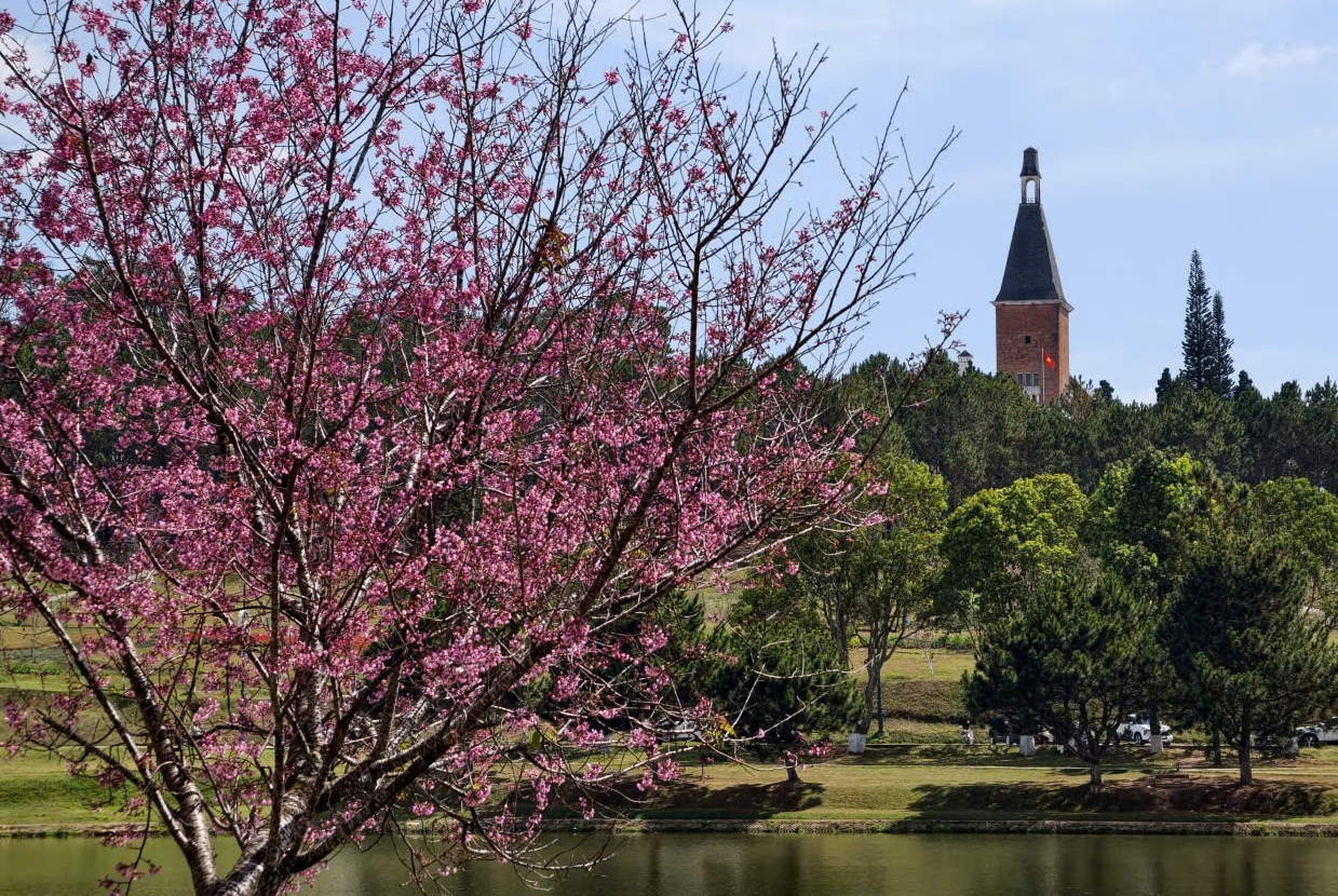 Ng&ocirc;i trường gần 100 năm ở Đ&agrave; Lạt l&agrave; di t&iacute;ch cấp quốc gia - Ảnh 6.