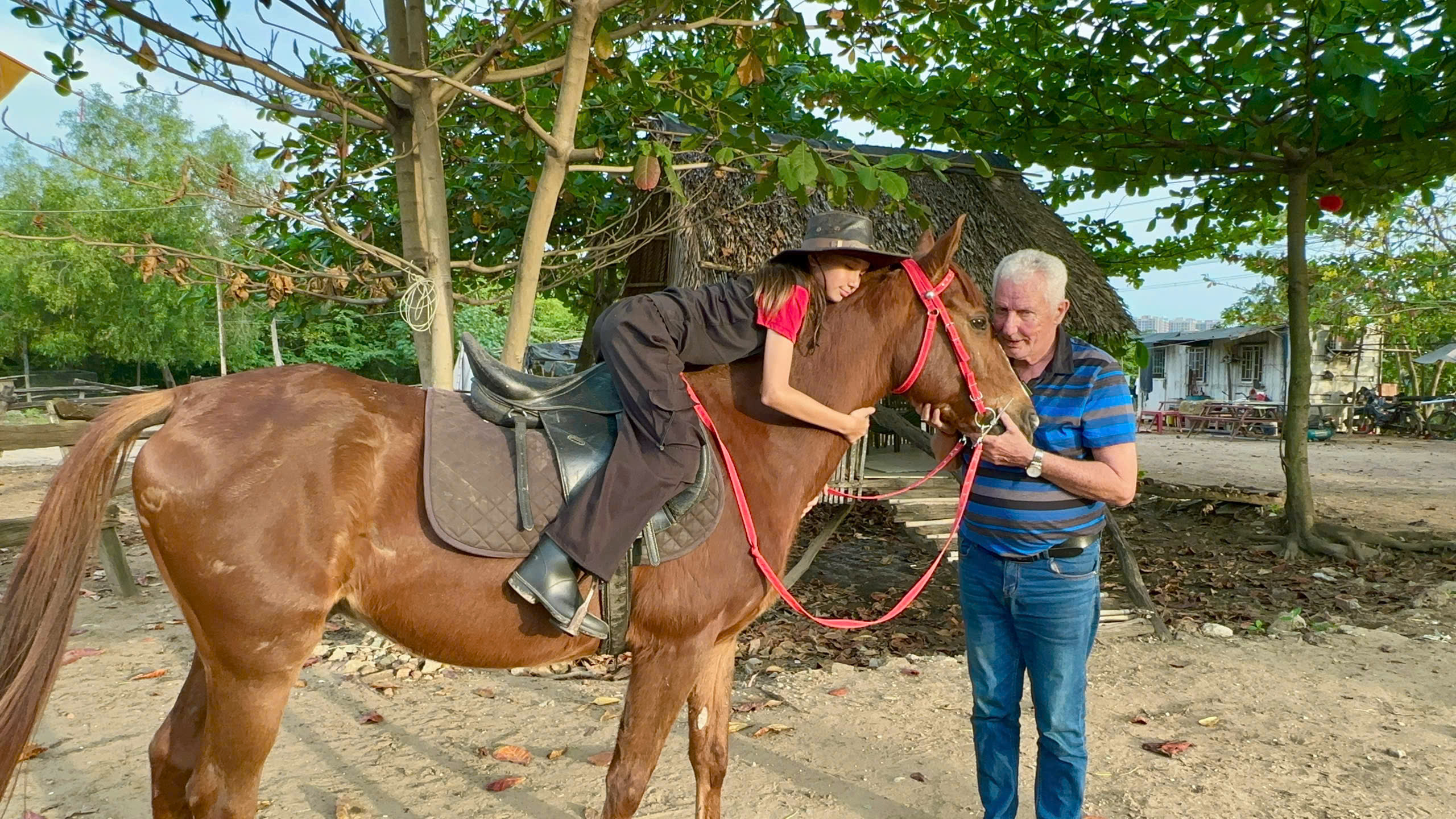 Nài ngựa Lê Tiến Tông: Đam mê "thuần hóa" những chú ngựa bất kham - Ảnh 4.