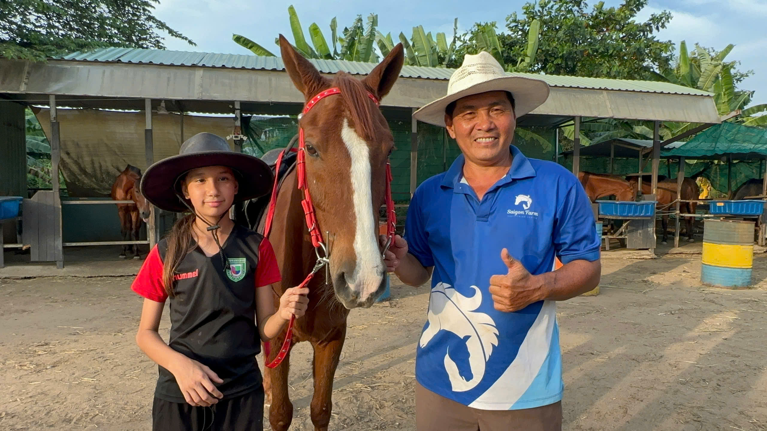 Nài ngựa Lê Tiến Tông: Đam mê "thuần hóa" những chú ngựa bất kham - Ảnh 2.