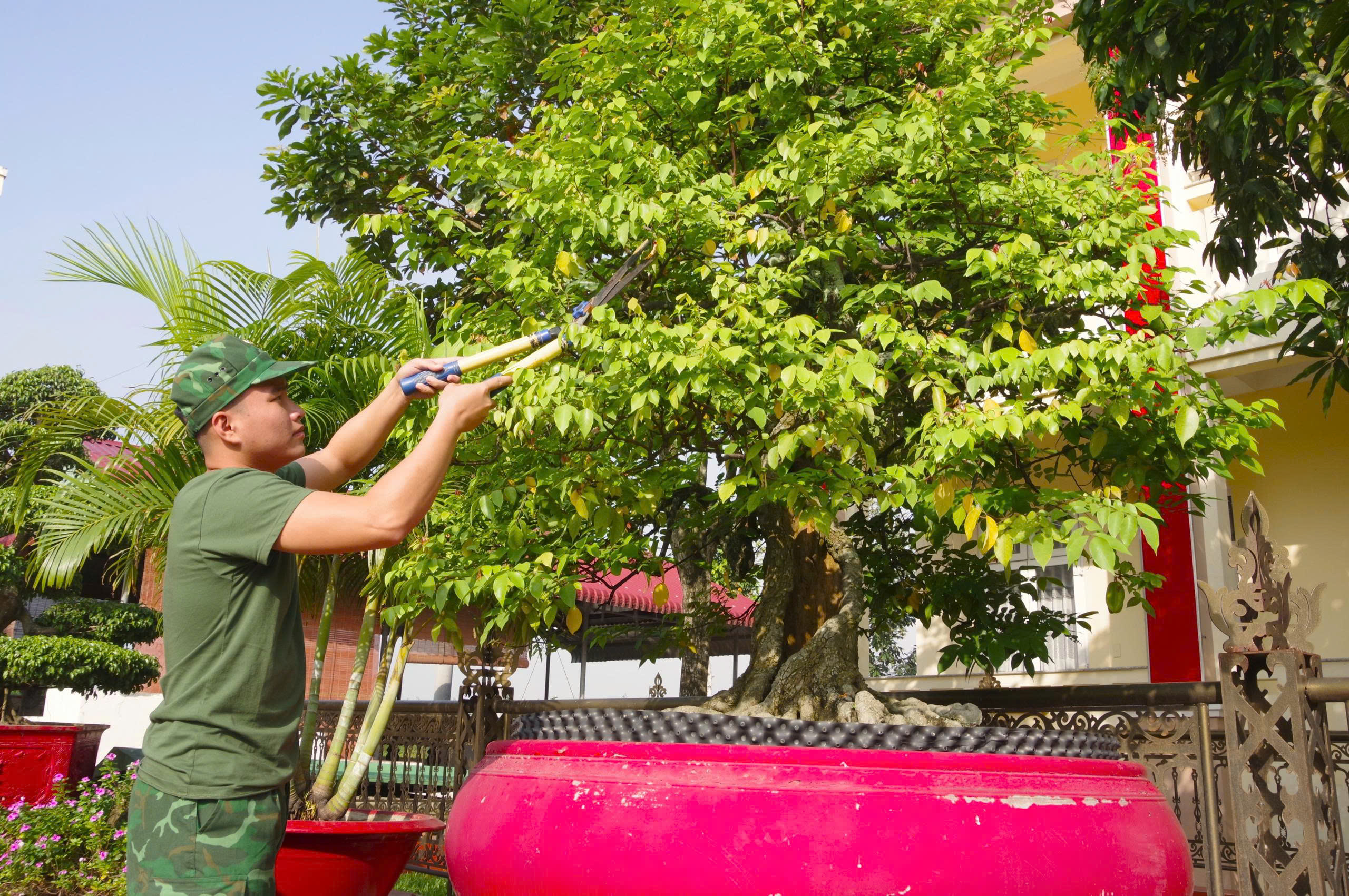 Ấm t&igrave;nh Xu&acirc;n bi&ecirc;n cương ở T&acirc;y Ninh - Ảnh 8.