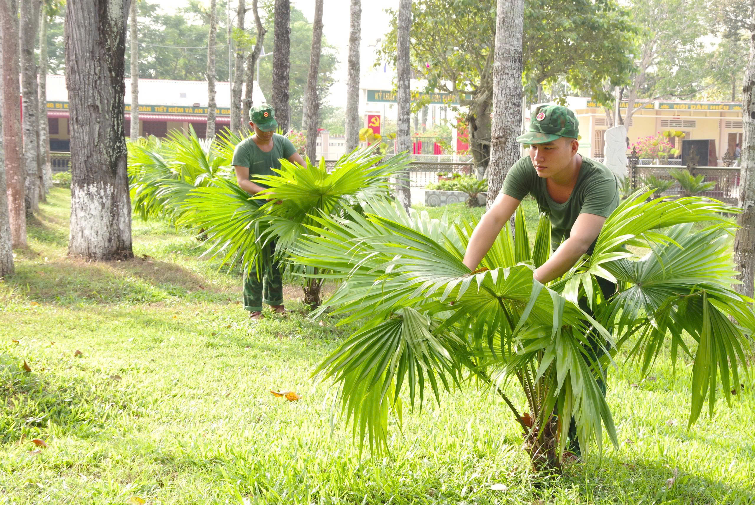 Ấm t&igrave;nh Xu&acirc;n bi&ecirc;n cương ở T&acirc;y Ninh - Ảnh 14.