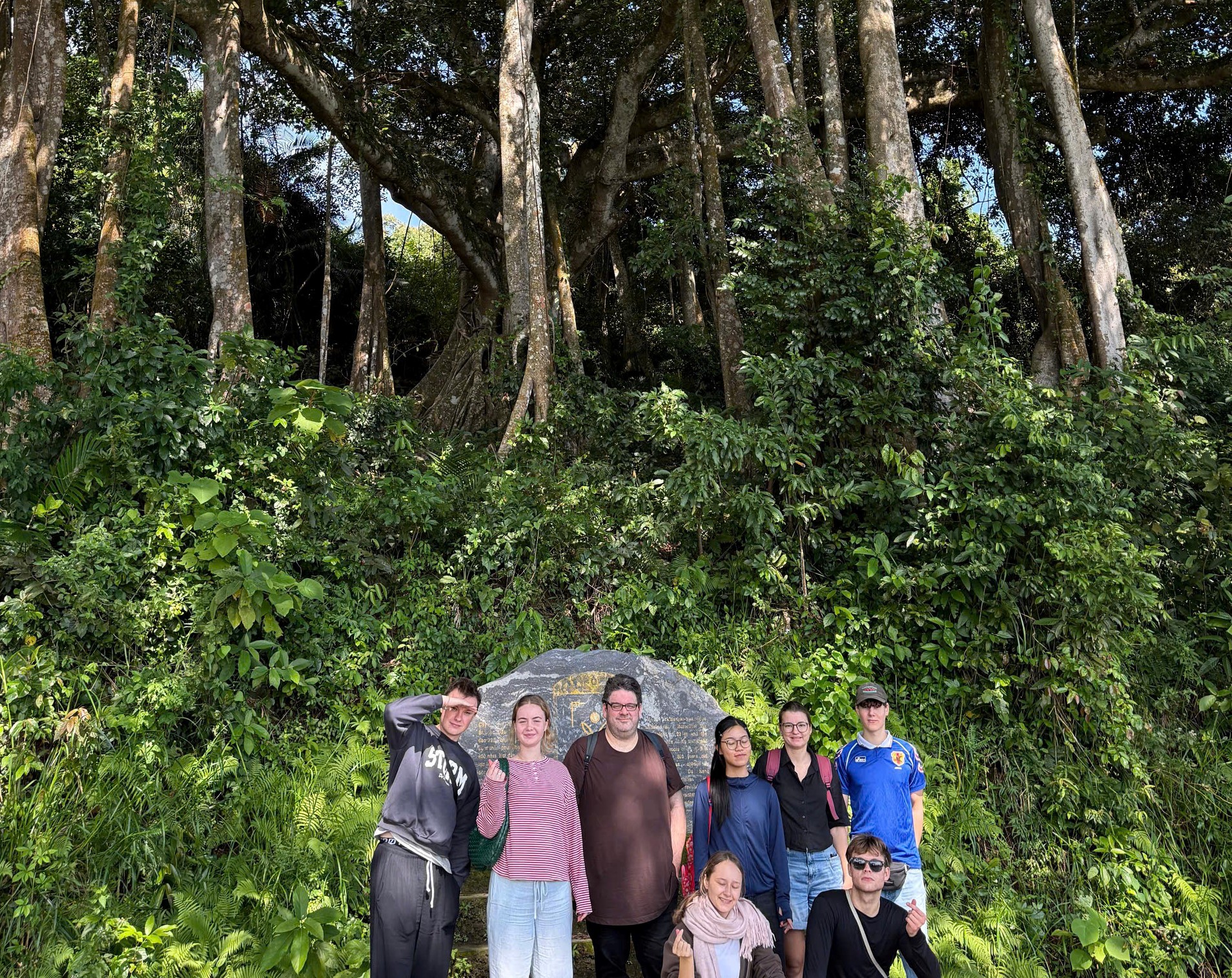 Dưới t&aacute;n đa ngh&igrave;n năm ở Sơn Tr&agrave;, du kh&aacute;ch nghe rừng "kể chuyện" - Ảnh 3.