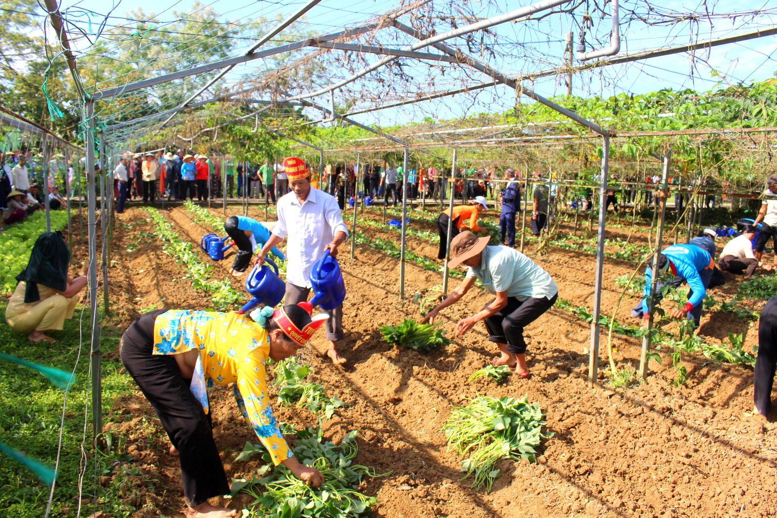 Cuộc thi "Tết xanh": Hơi thở "Tết xanh" giữa l&ograve;ng Đ&agrave; Nẵng - Ảnh 3.