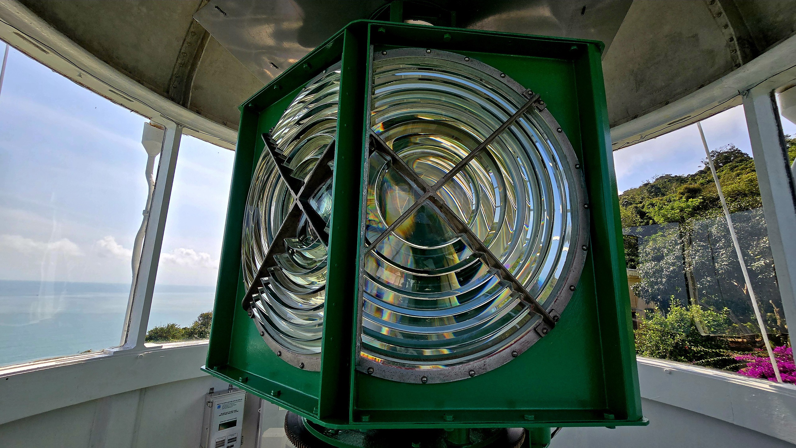 Chinh phục &ldquo;mắt biển&rdquo; trăm tuổi tr&ecirc;n đỉnh Sơn Tr&agrave; - Ảnh 4.