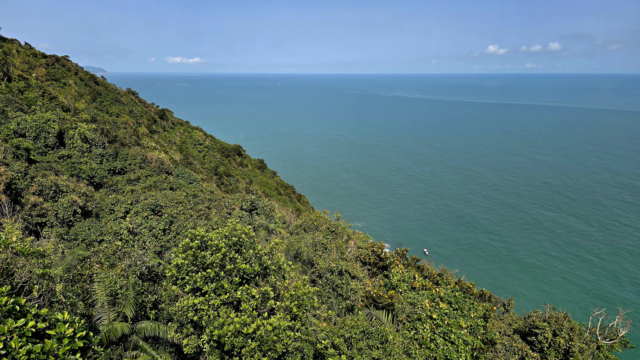 Chinh phục &ldquo;mắt biển&rdquo; trăm tuổi tr&ecirc;n đỉnh Sơn Tr&agrave; - Ảnh 5.