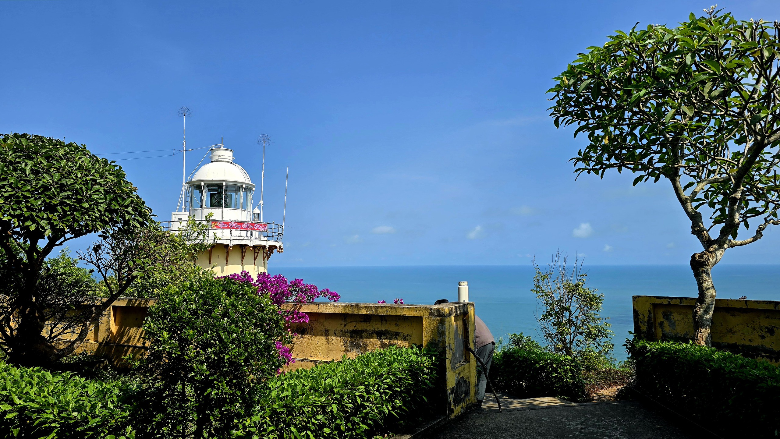 Chinh phục &ldquo;mắt biển&rdquo; trăm tuổi tr&ecirc;n đỉnh Sơn Tr&agrave; - Ảnh 3.